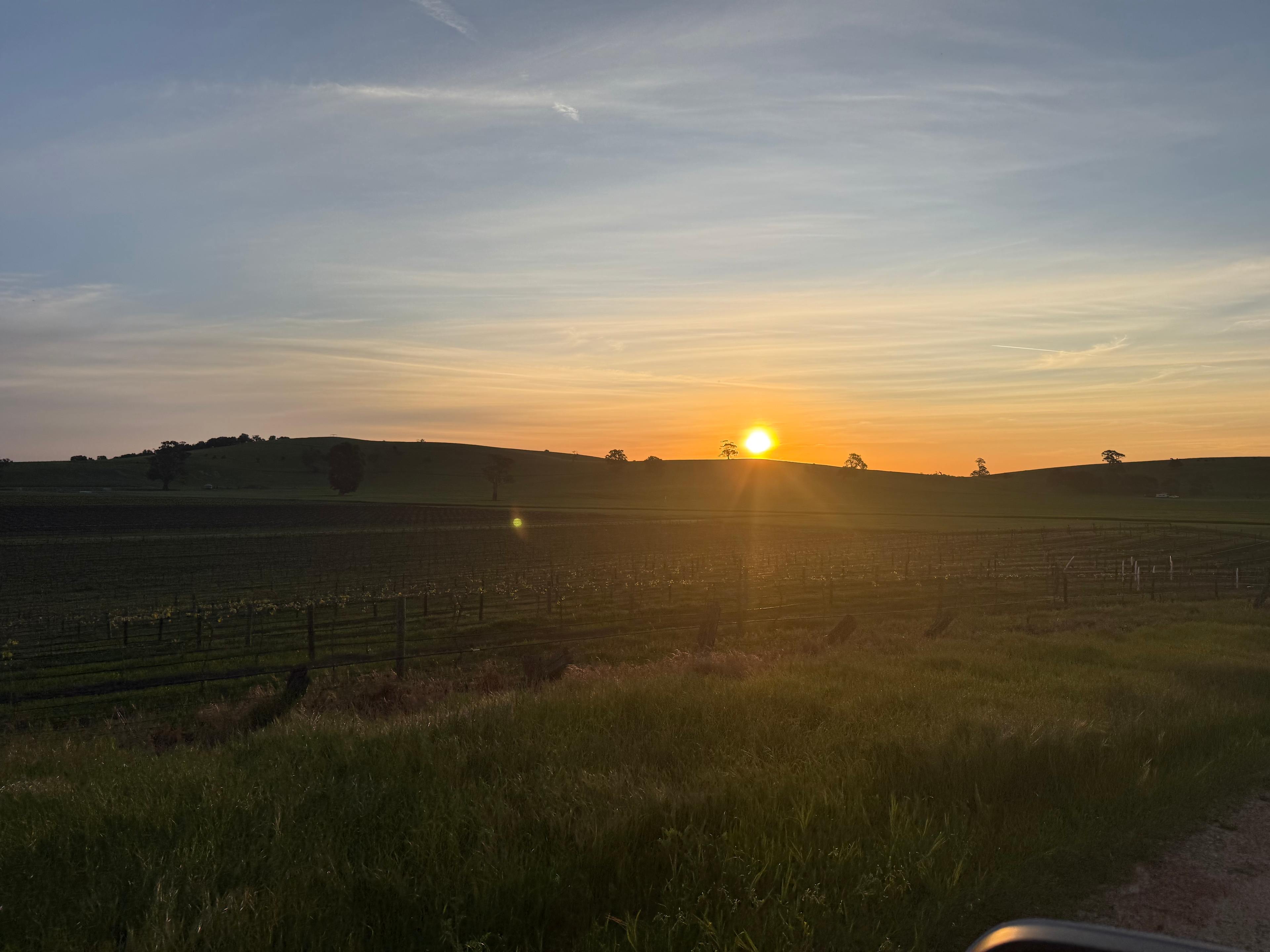 Goose's Pond & Norm's Farm B & B