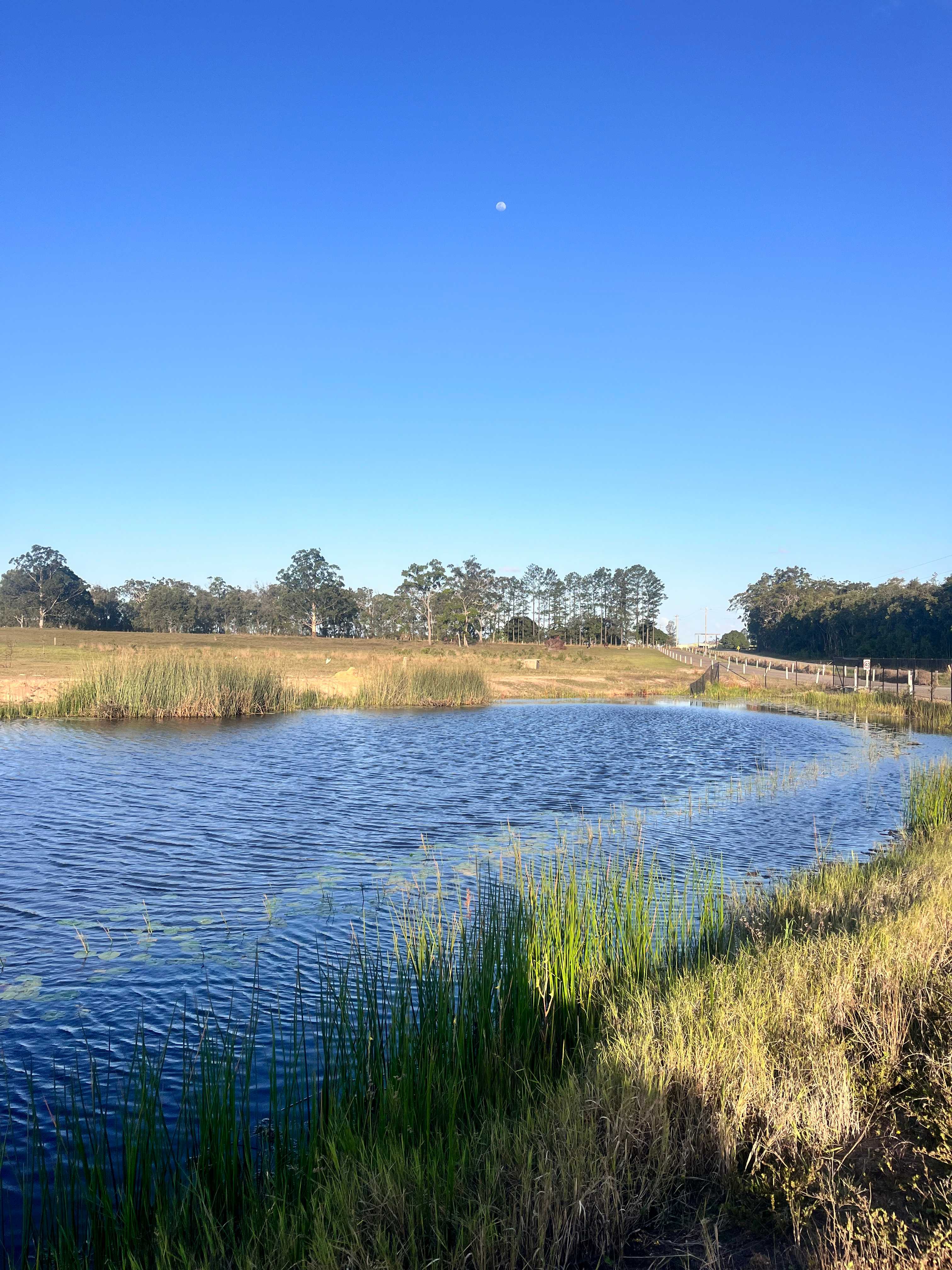 Susan River Homestead