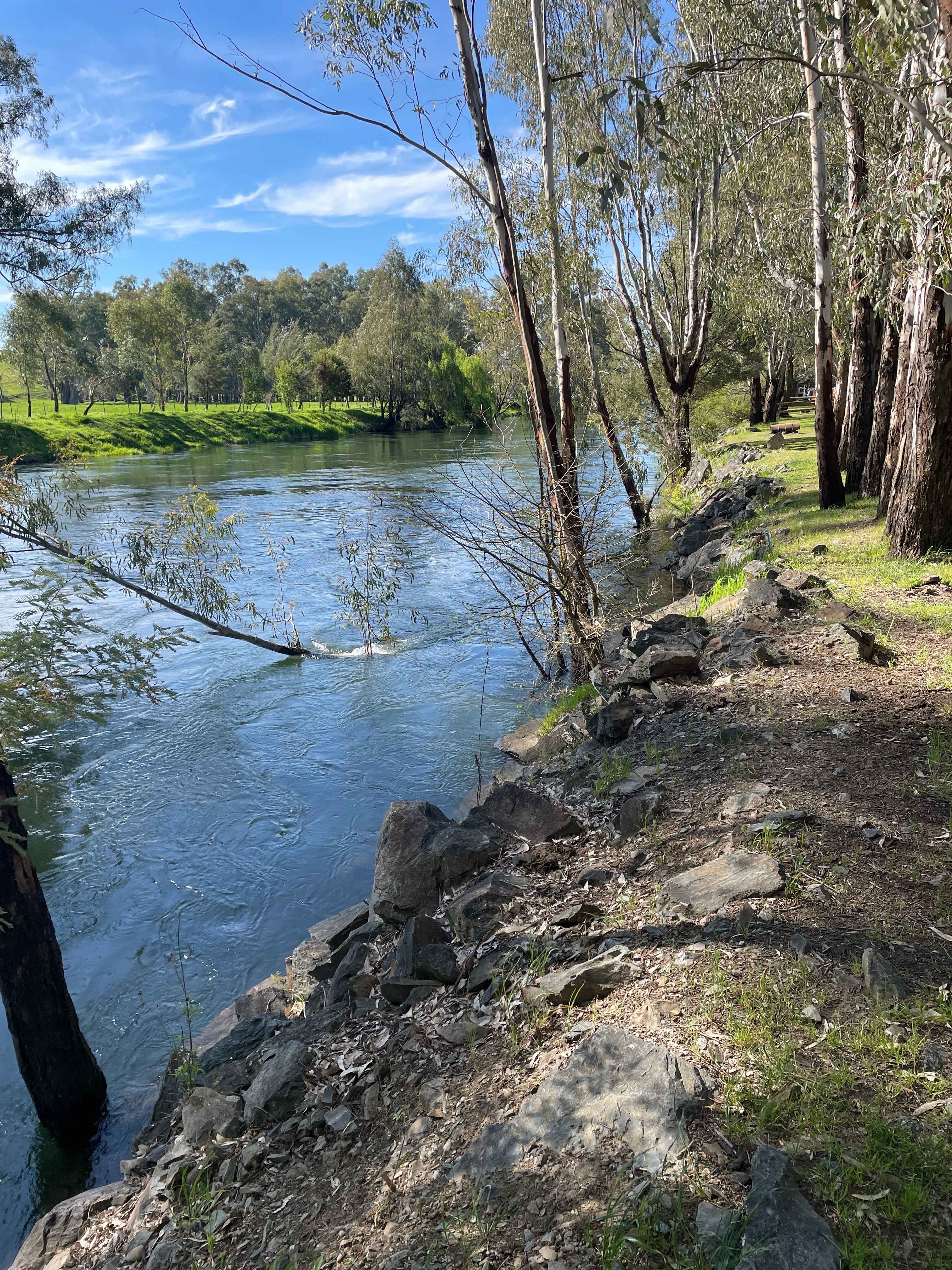Bahwidgee on Tumut River