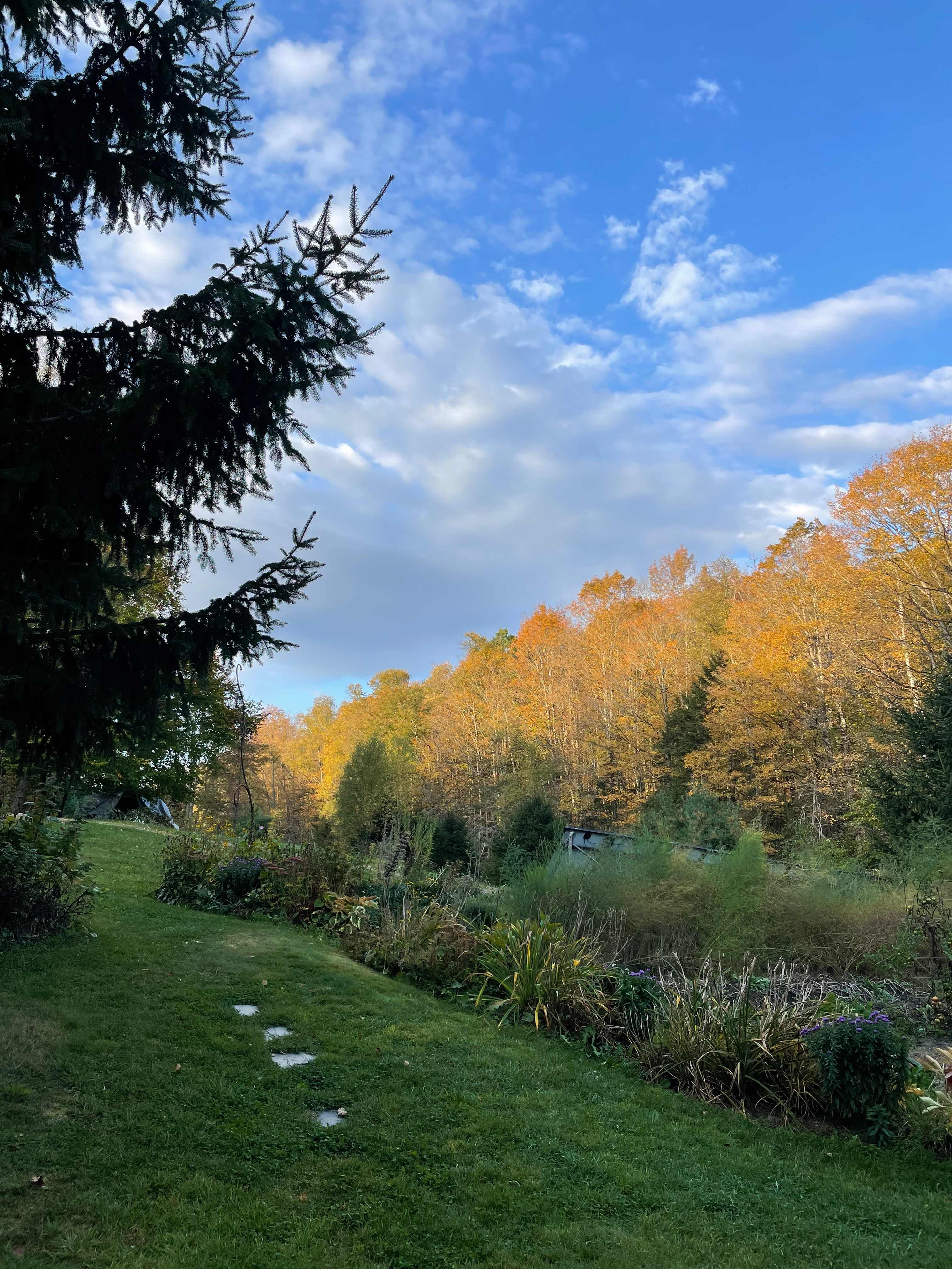 Cozy Off-Grid Vermont Yurt