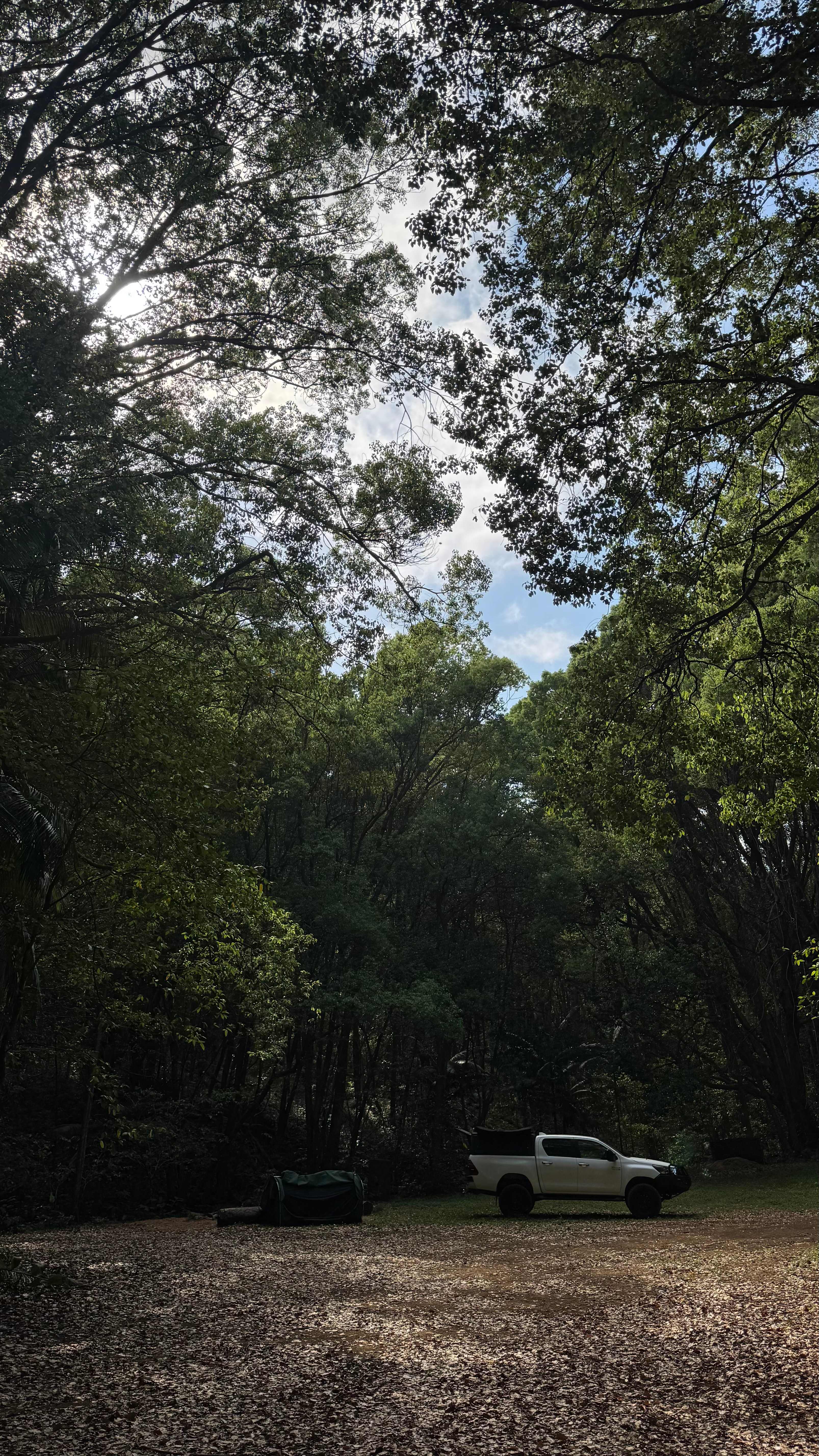 Fern gully Creek, Coorabell