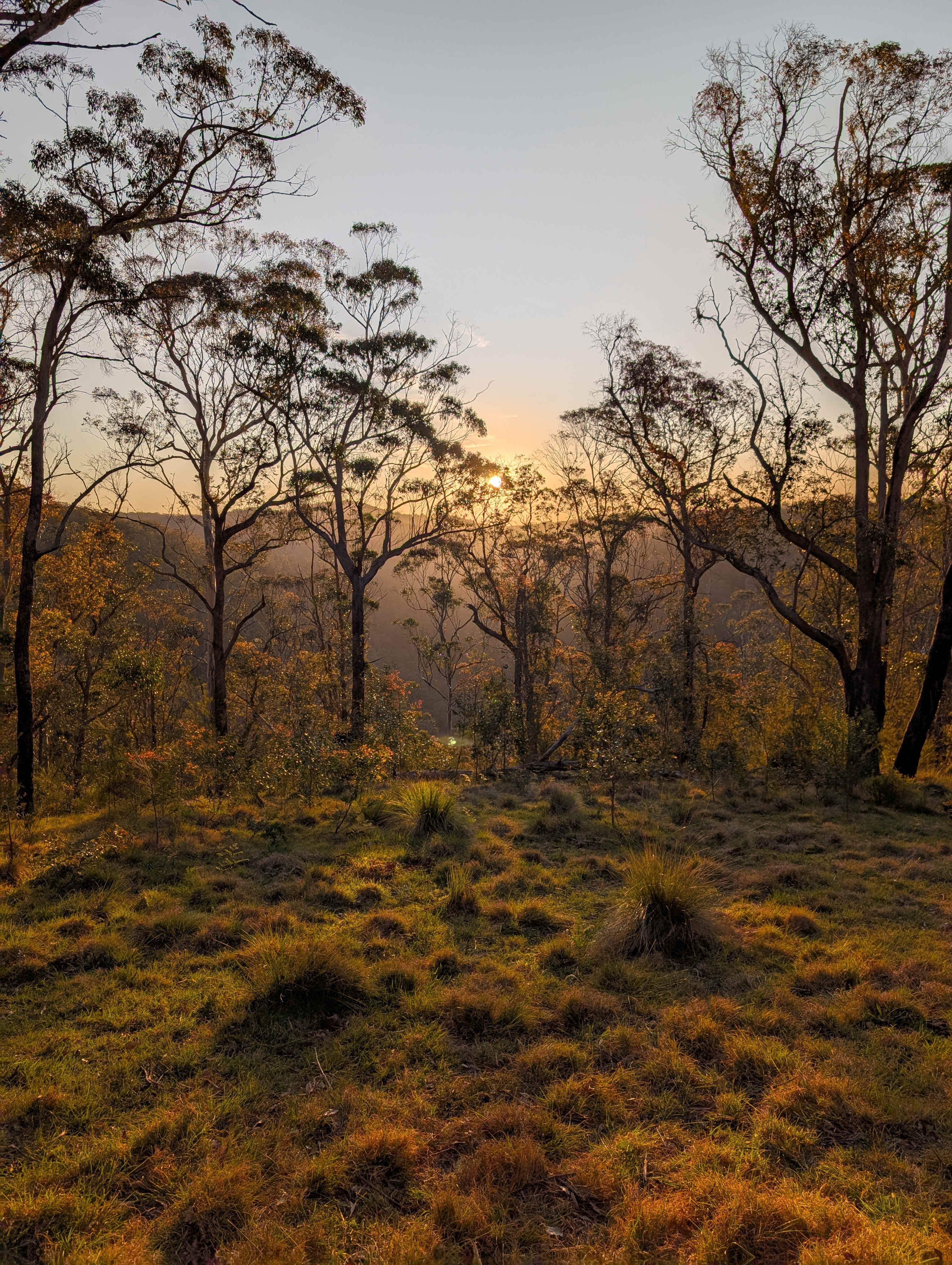 The Hylands Wilderness Retreat