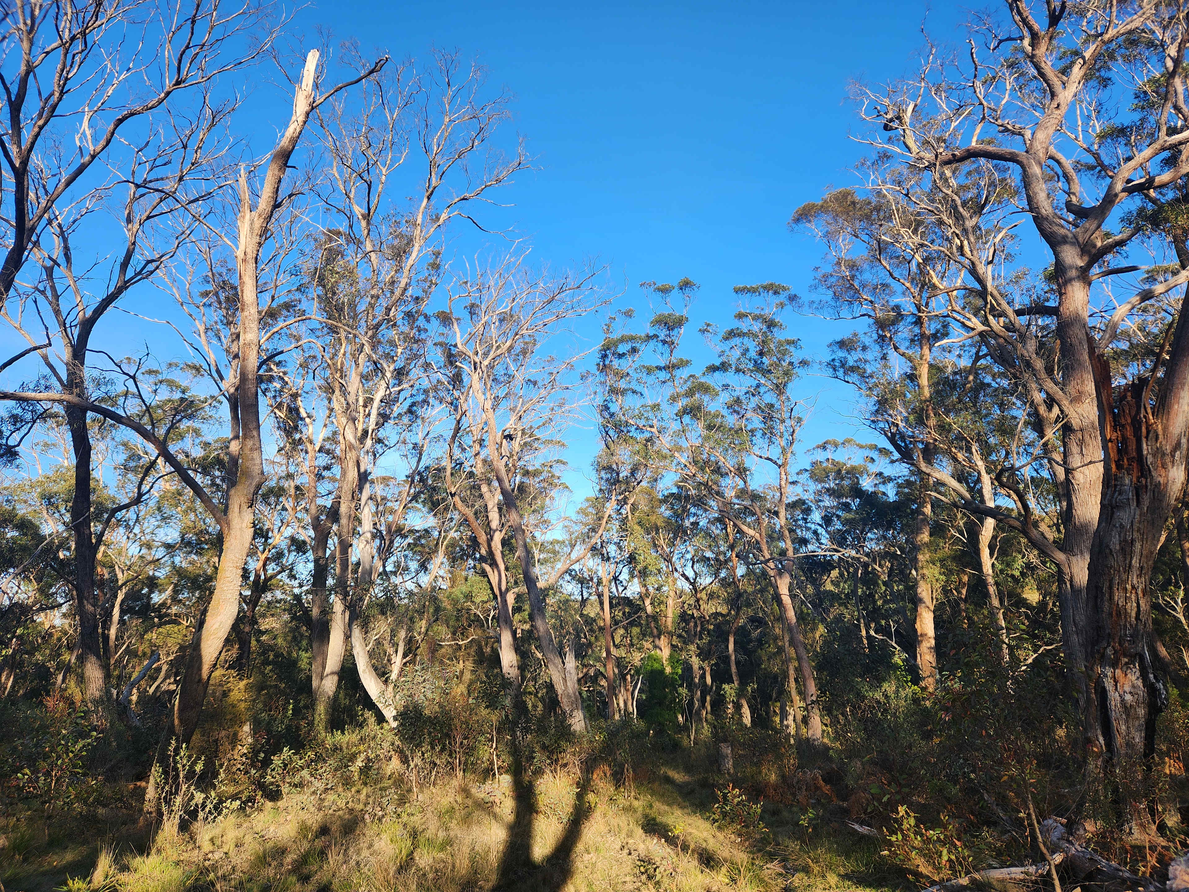 The best place to start your adventure