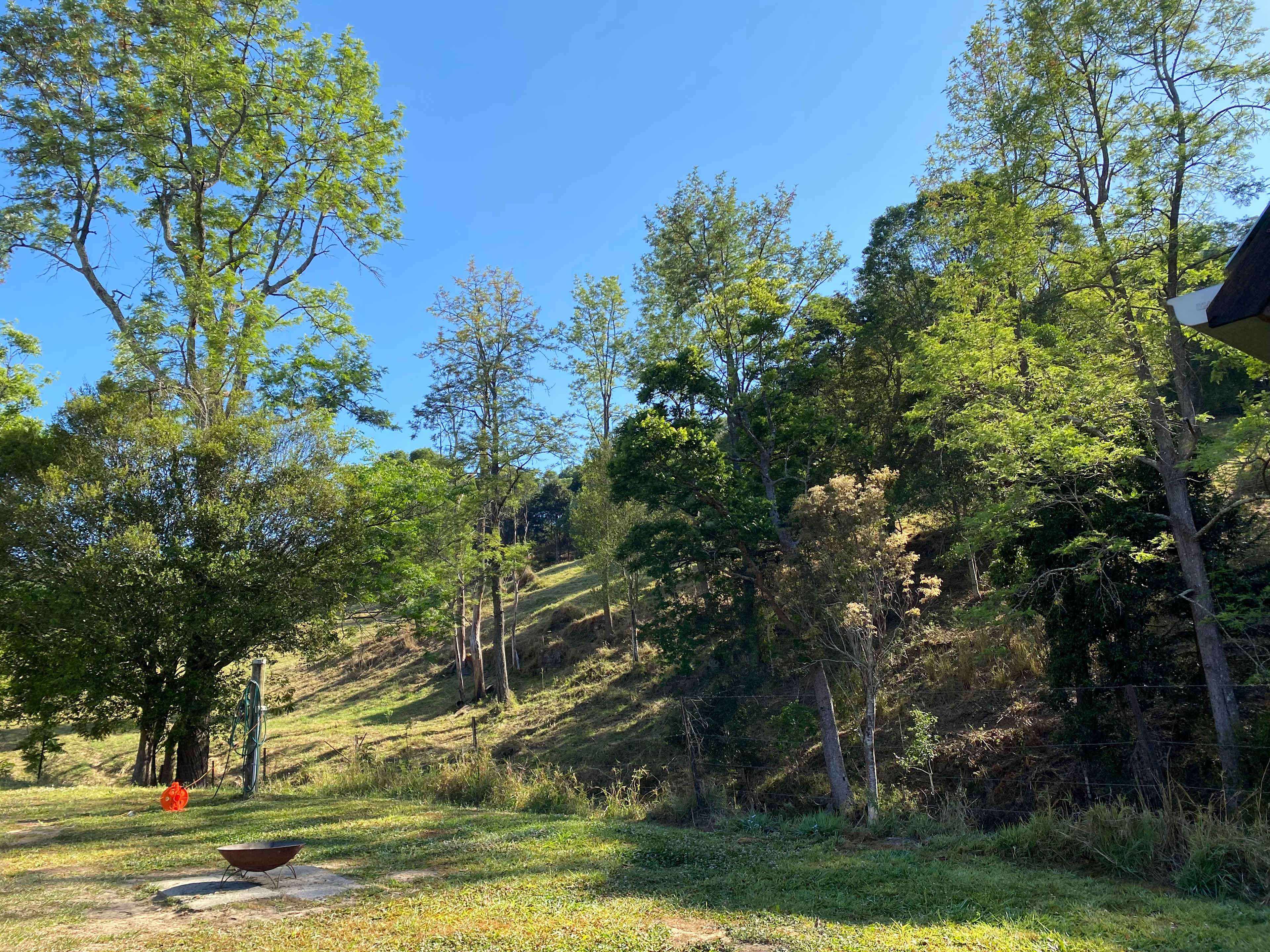 McKenzie Creek Campsite