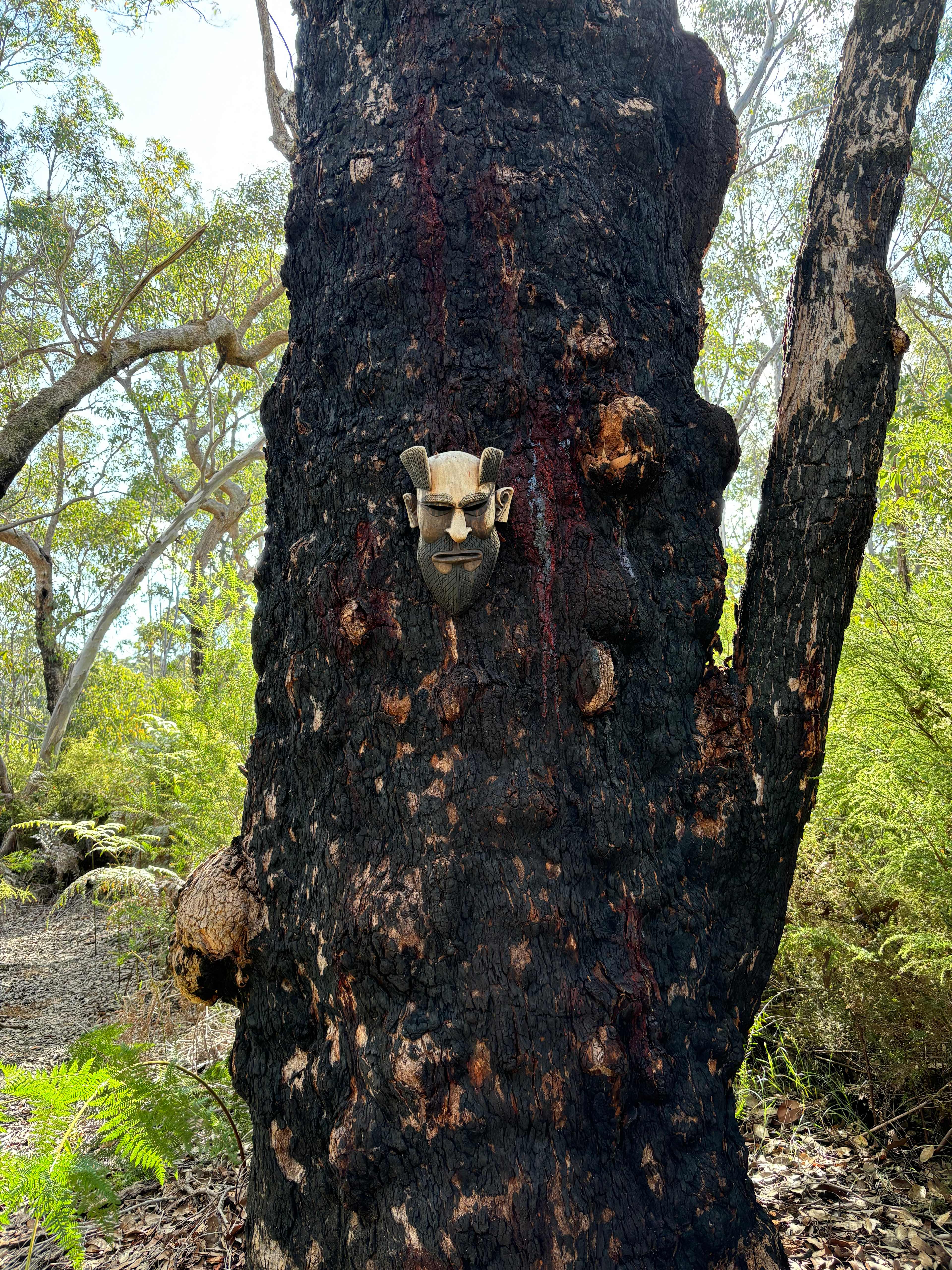 Northcliffe Deluxe Bush Camp
