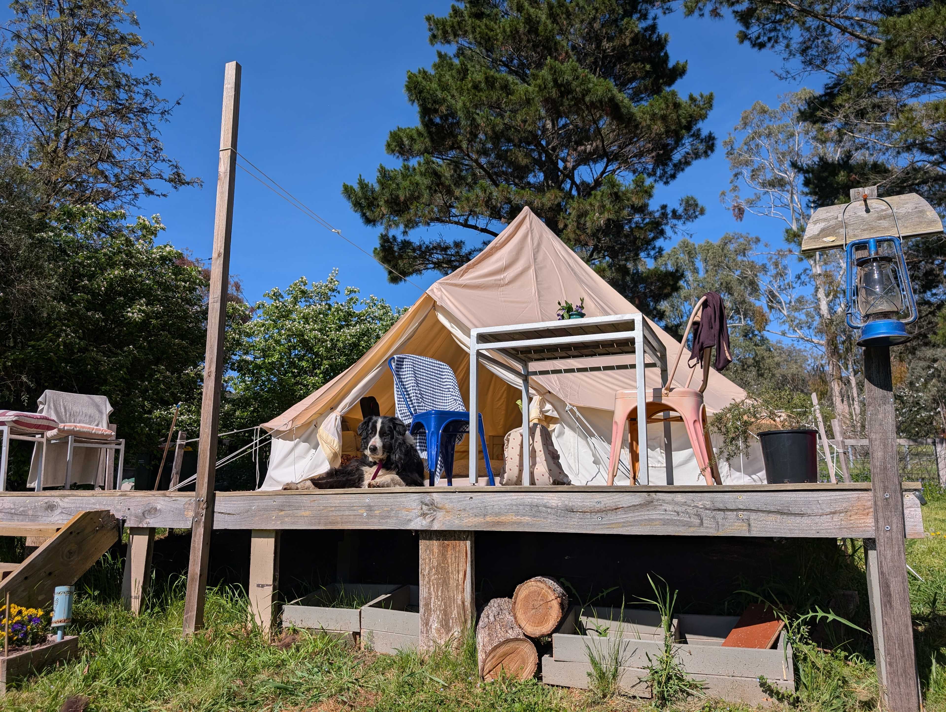 Oakenville Farm, Nundle