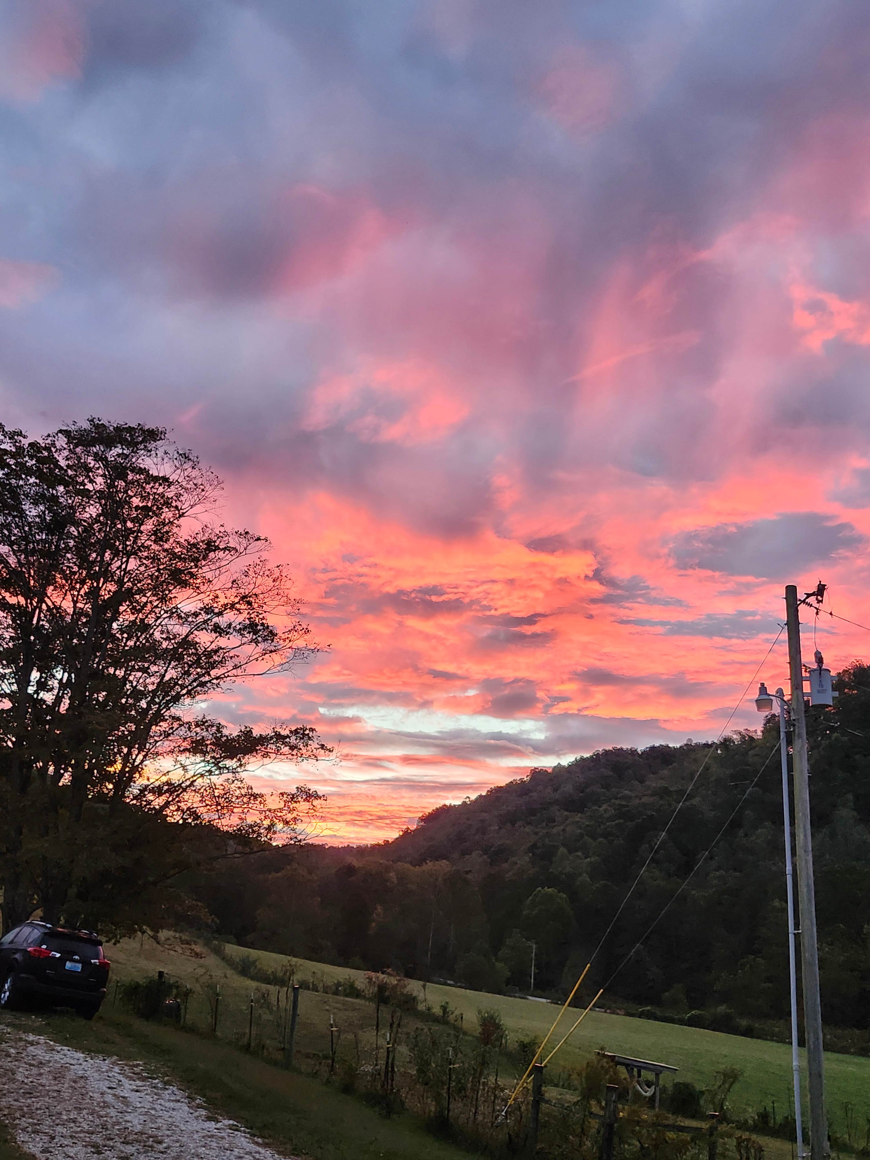 Disputanta Homestead