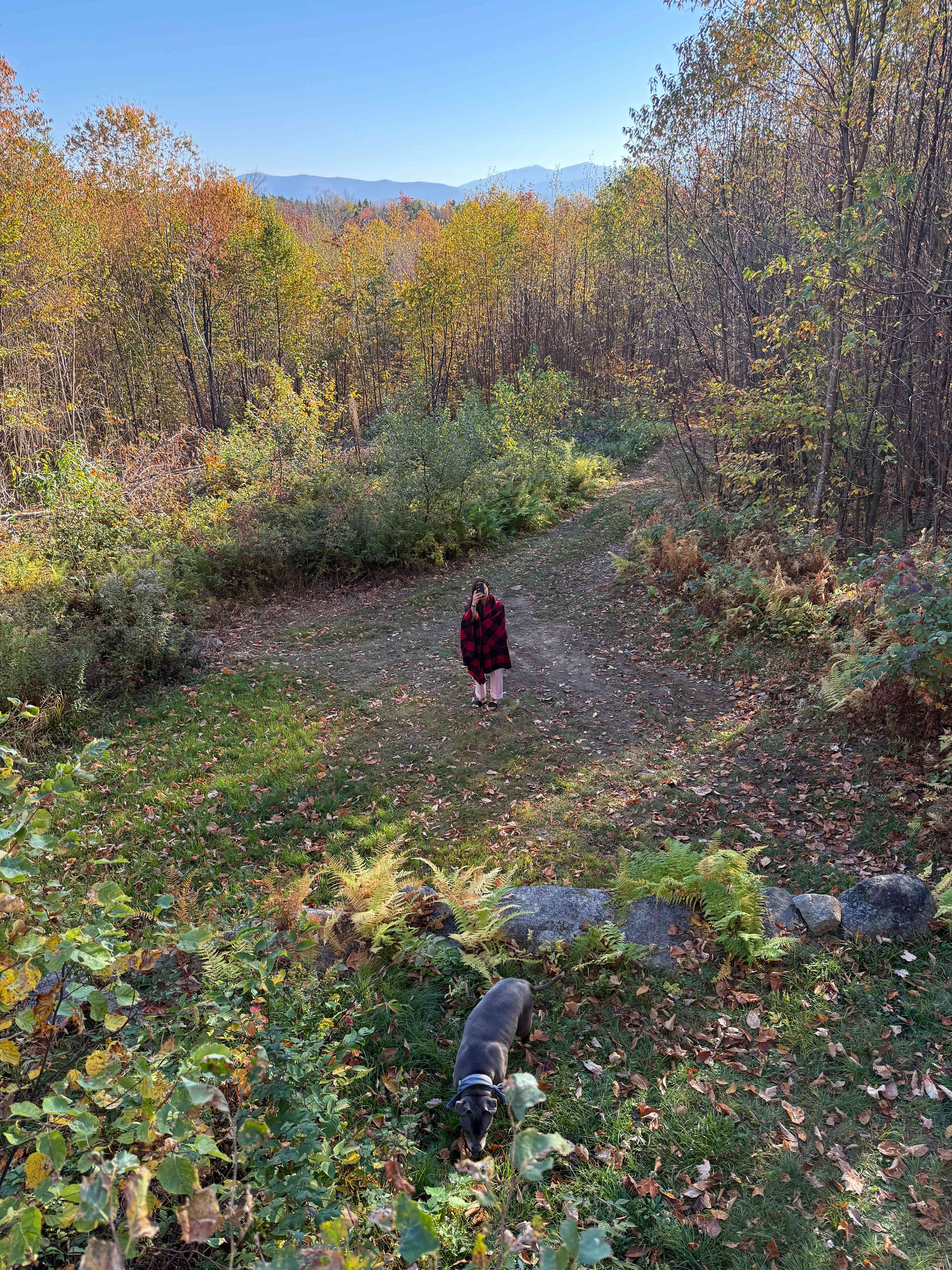 Luxury glamping on Mt. Aggasiz