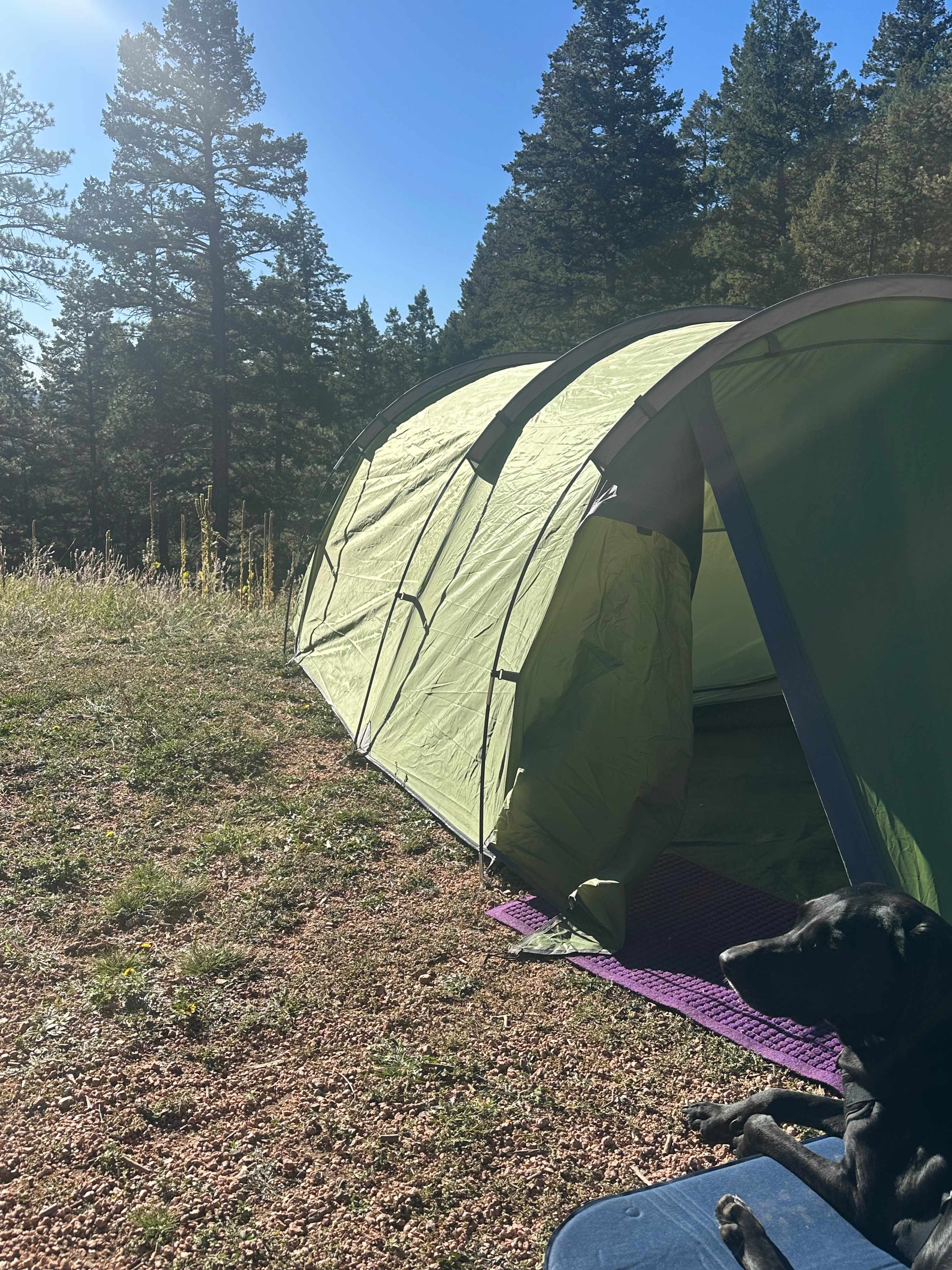 CampCHERIshed-Camp for a Cause!