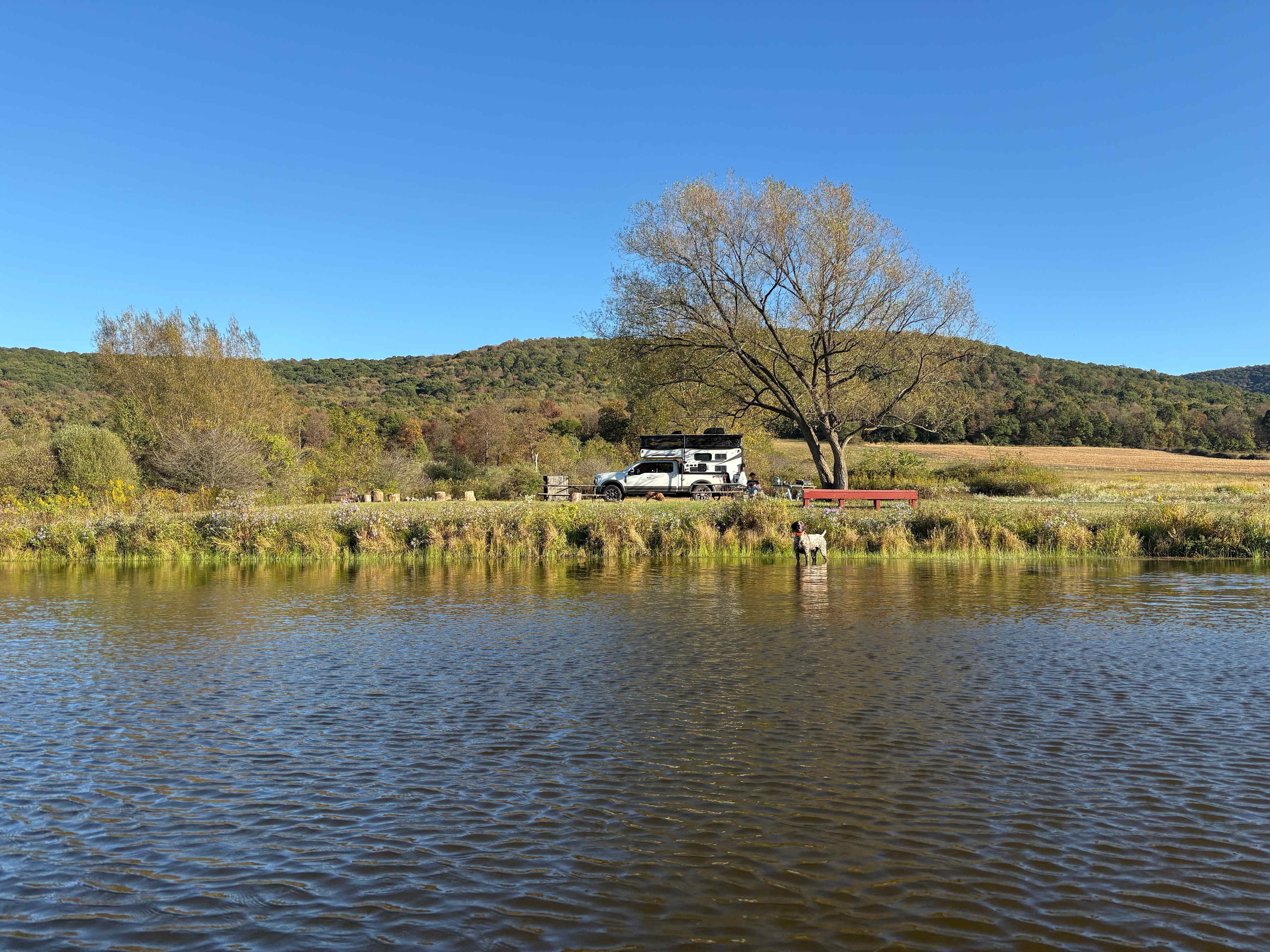 Paradise By The Pond