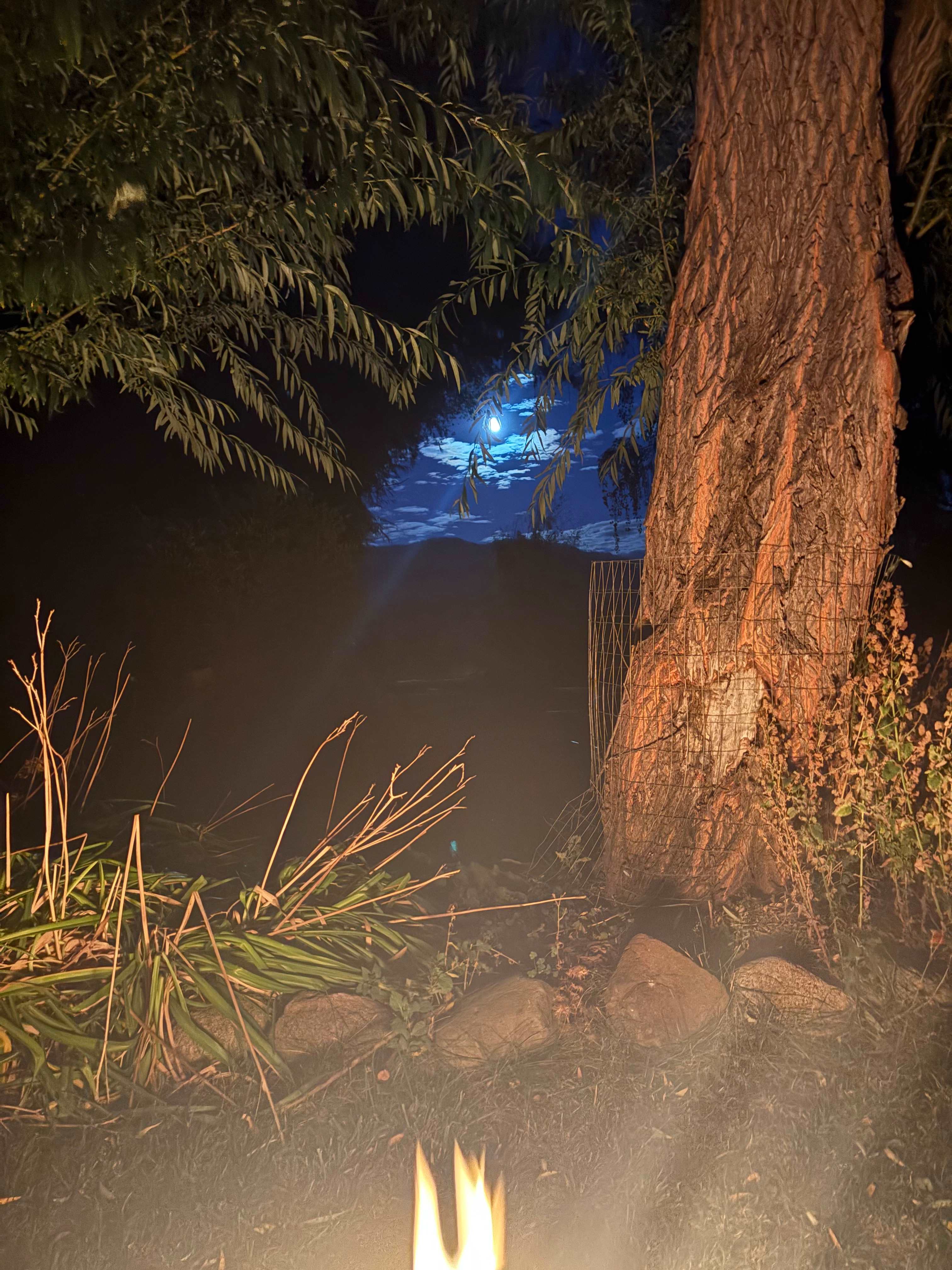 Silverline Lakeside Resort