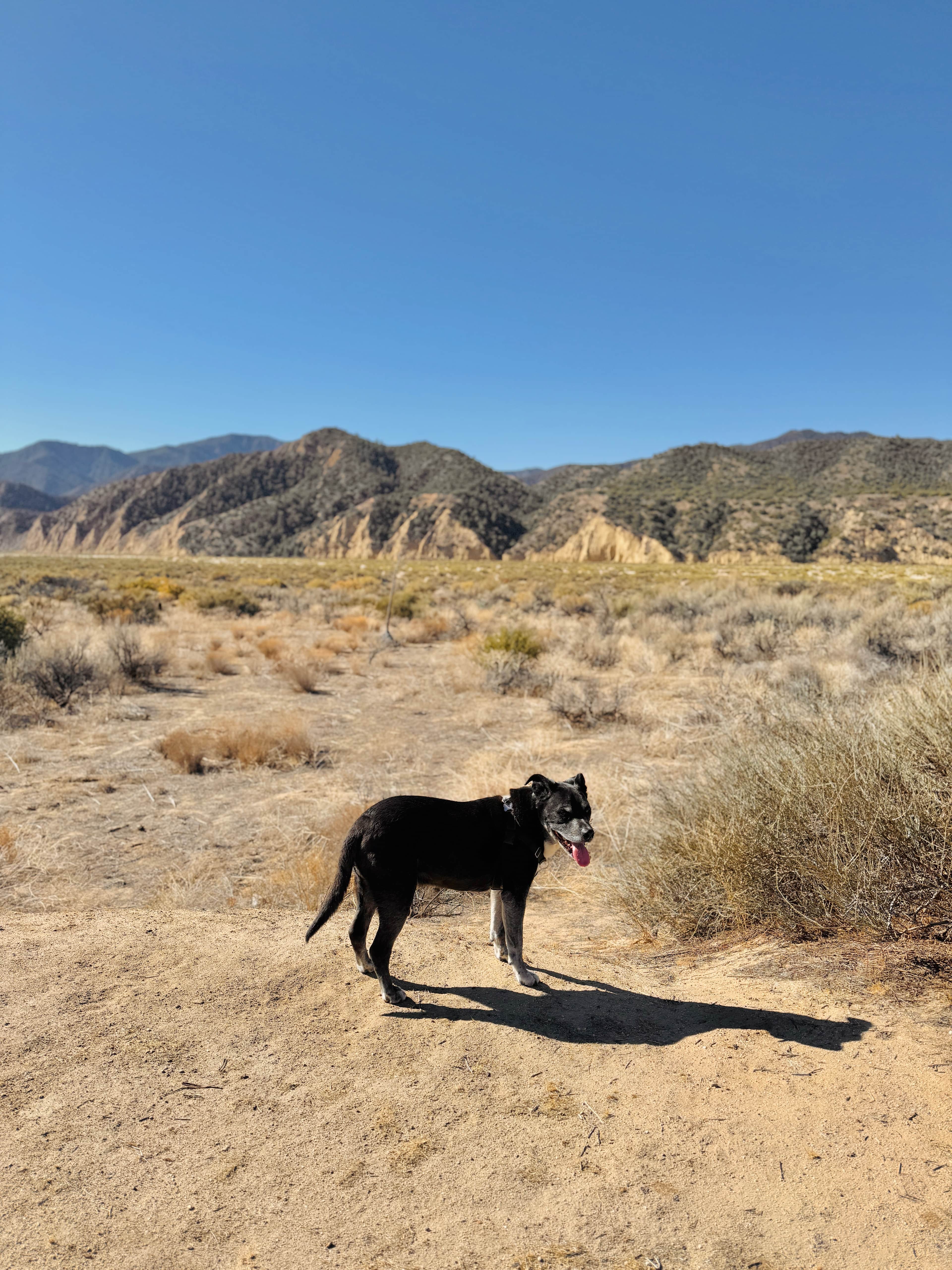 Beautiful views of the mountains