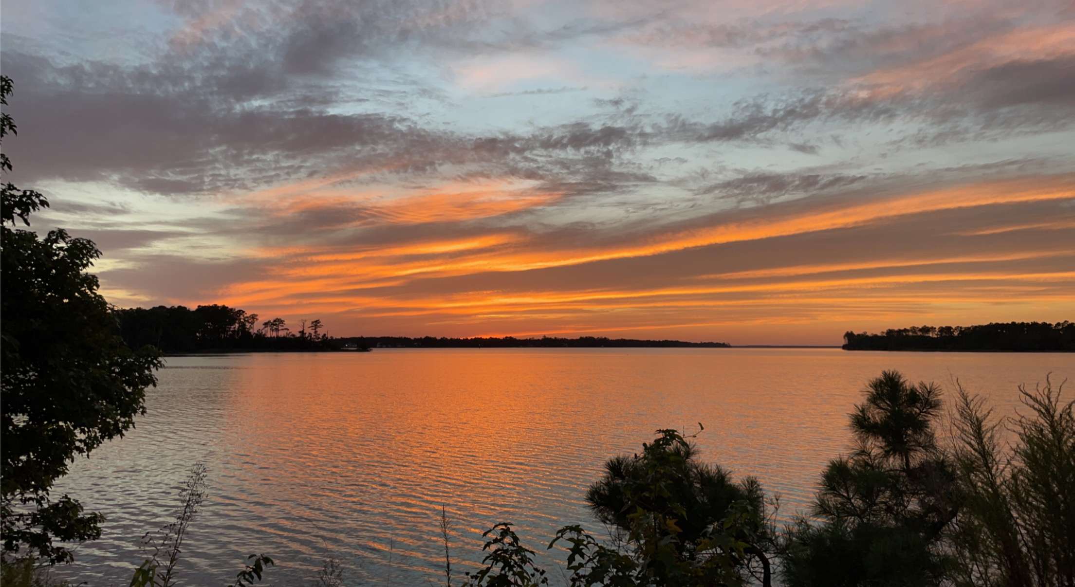 160 Acres  1700's waterfront forest