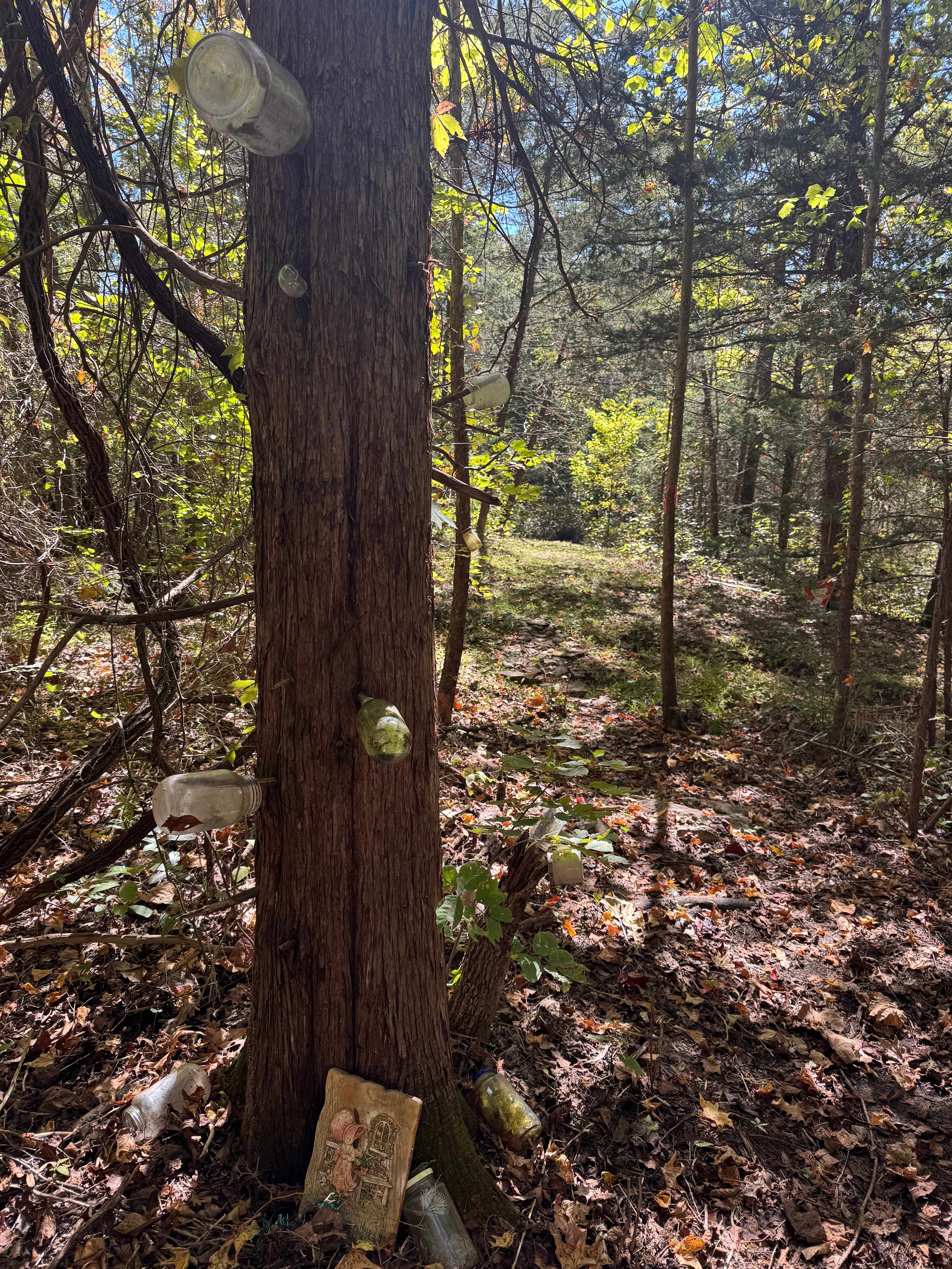 Fairy trail decorations 