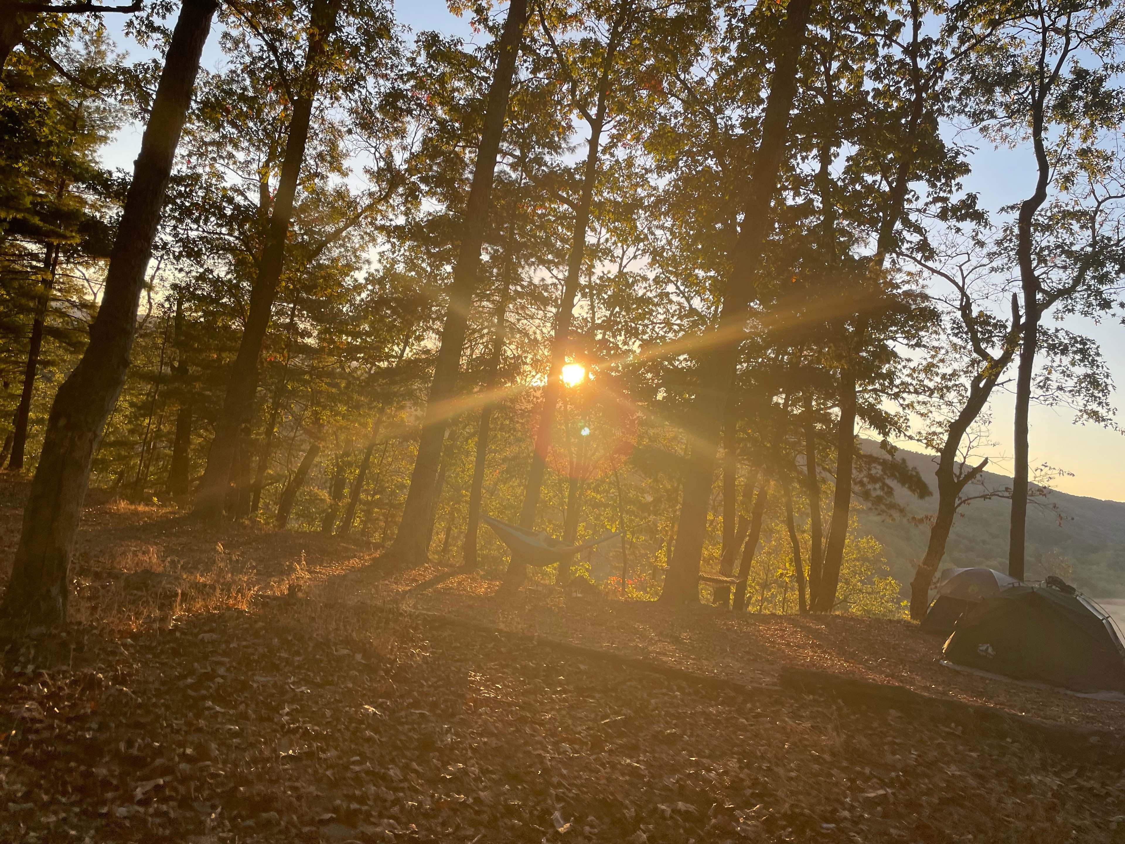 Grouseland Hospitality