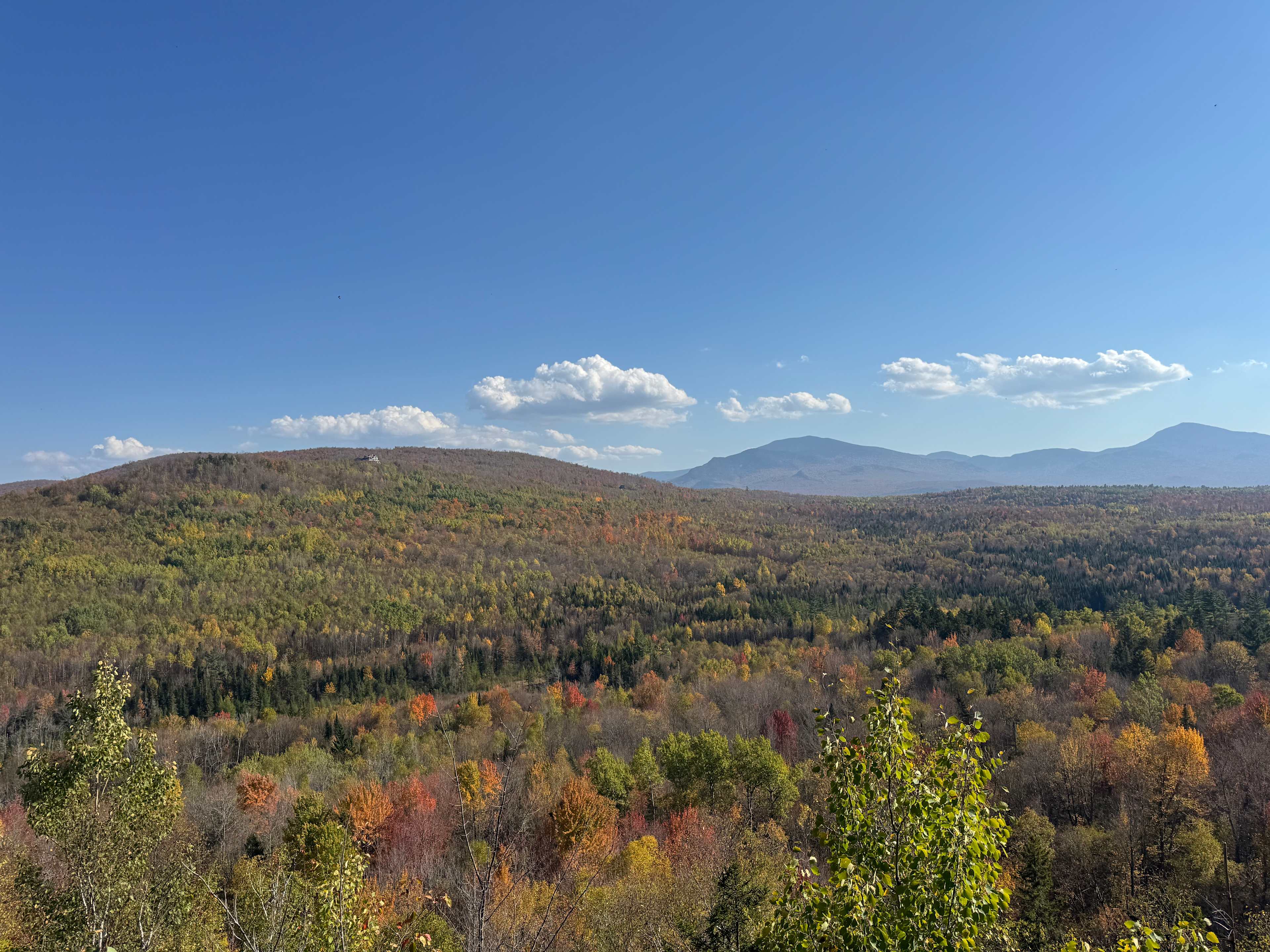 Beautiful Woods & Mountain Views