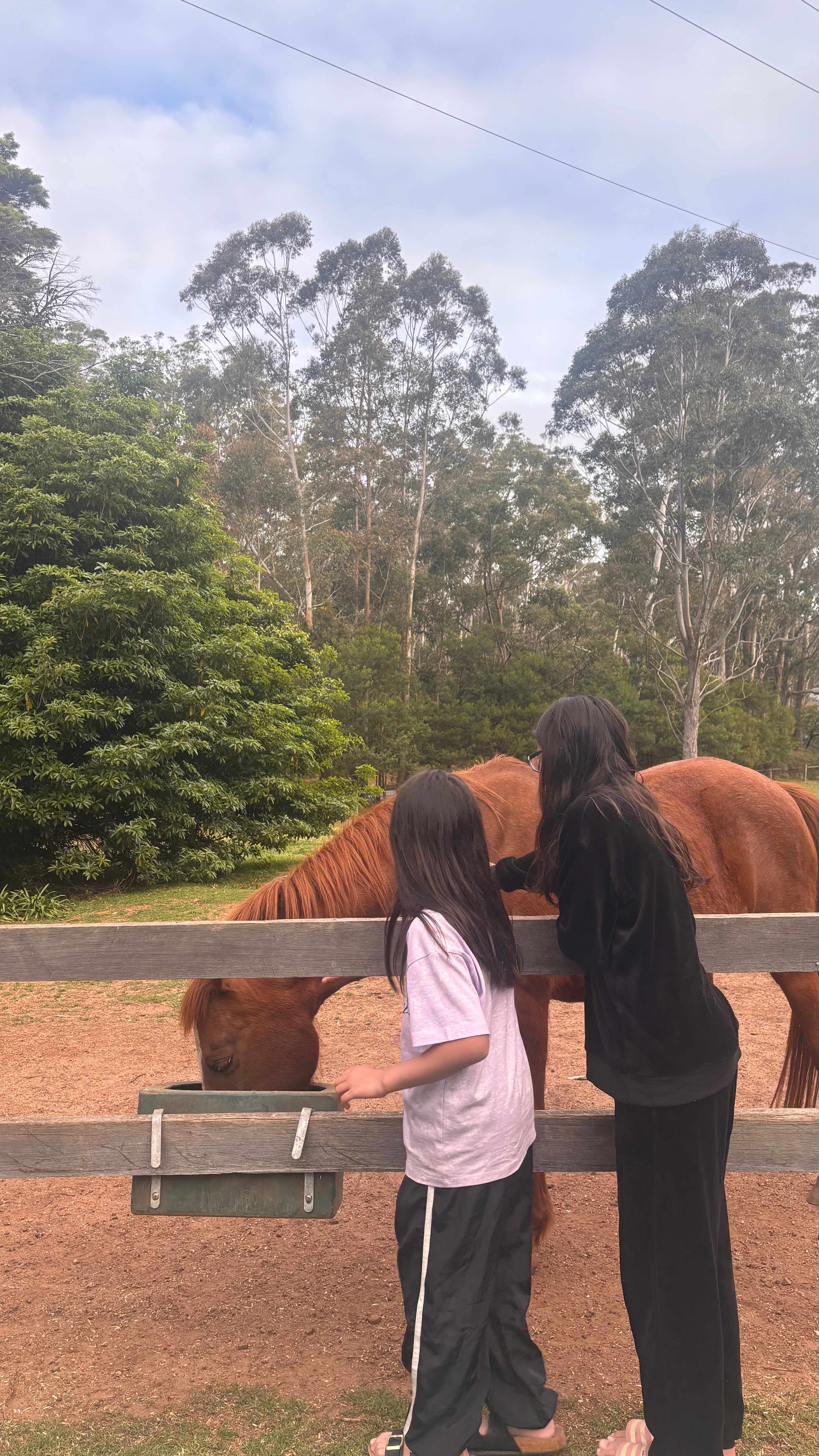 Woodenhead Experiences