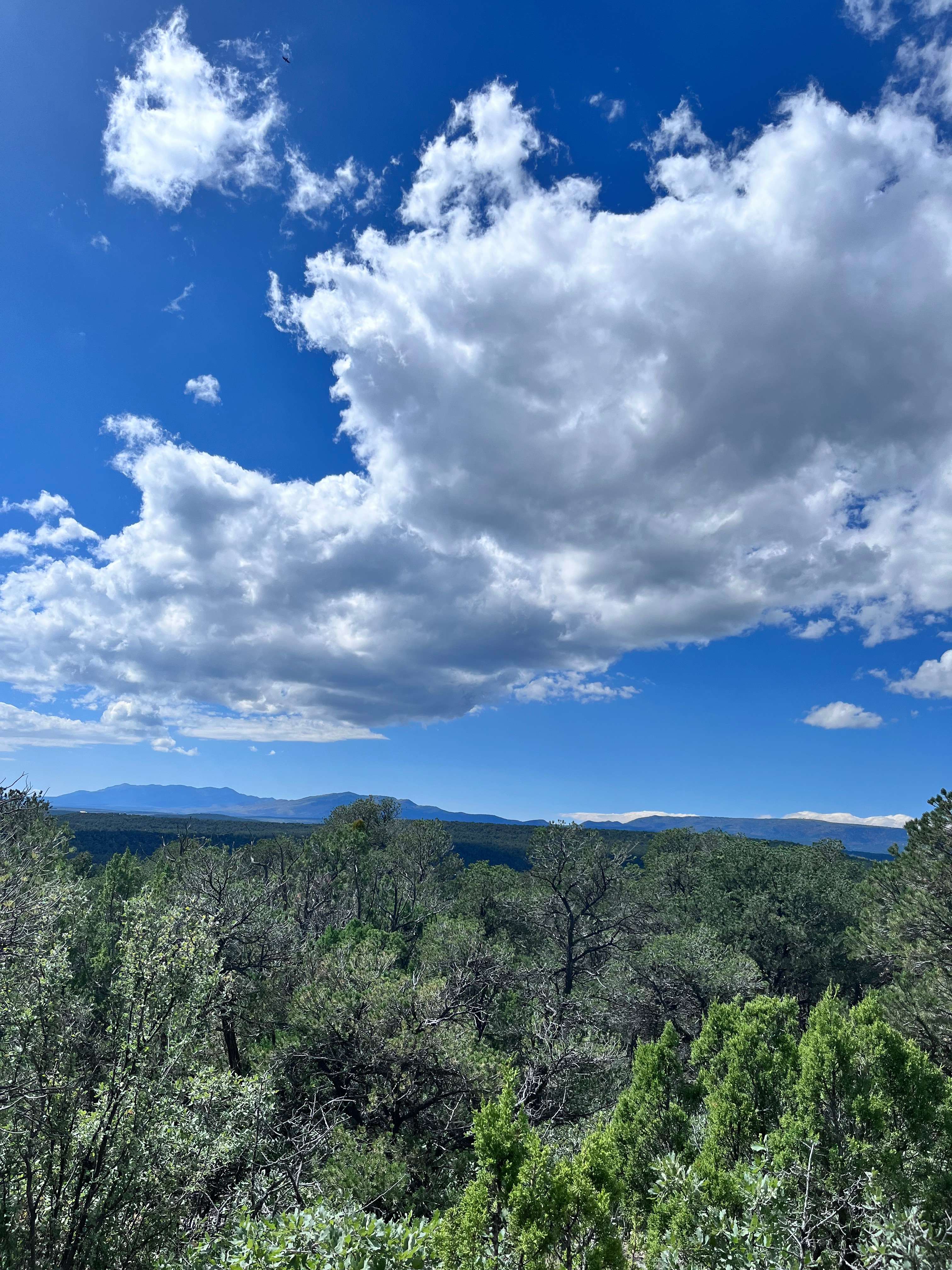 Mountain View Camping