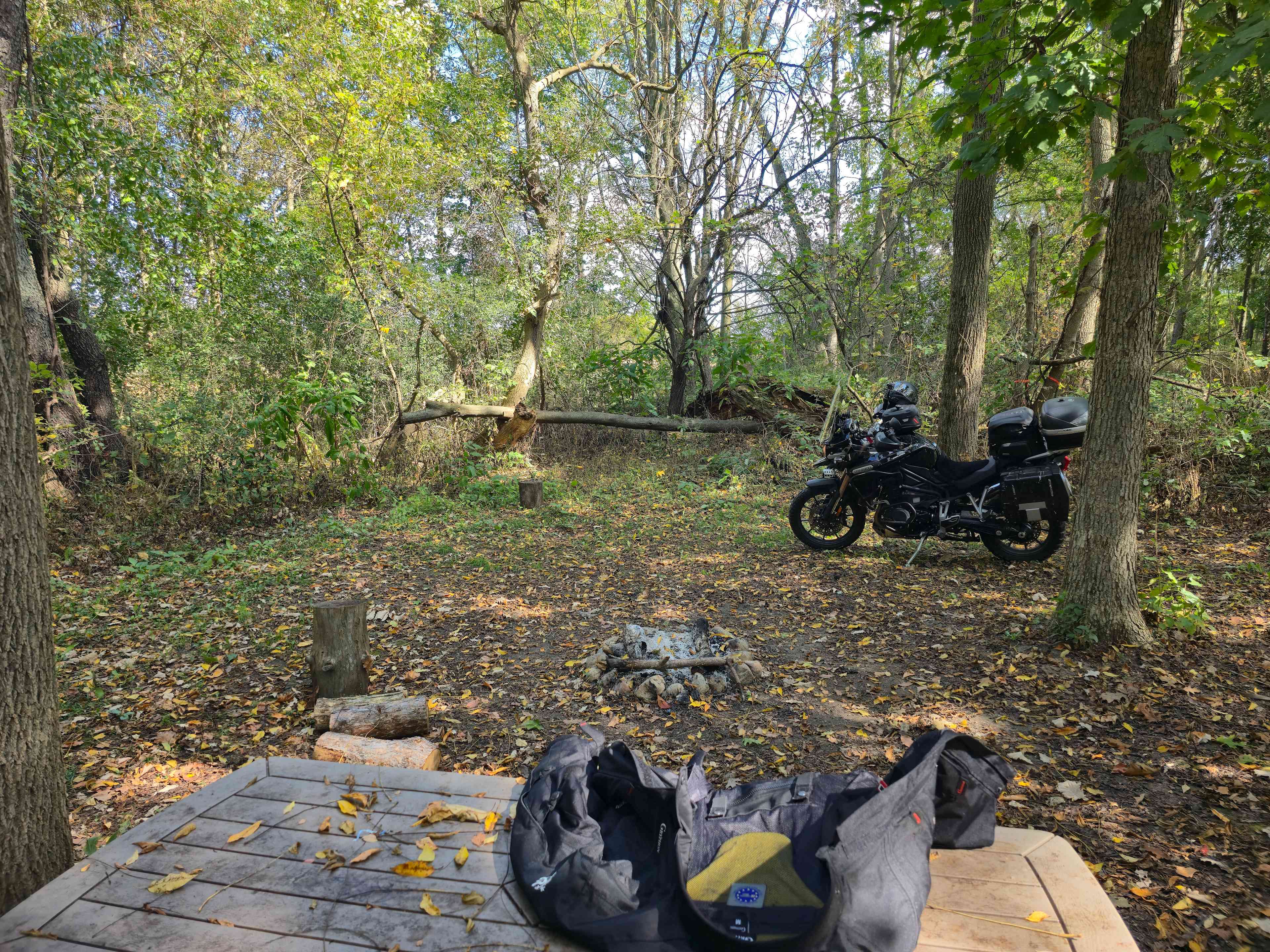 Picture of the site