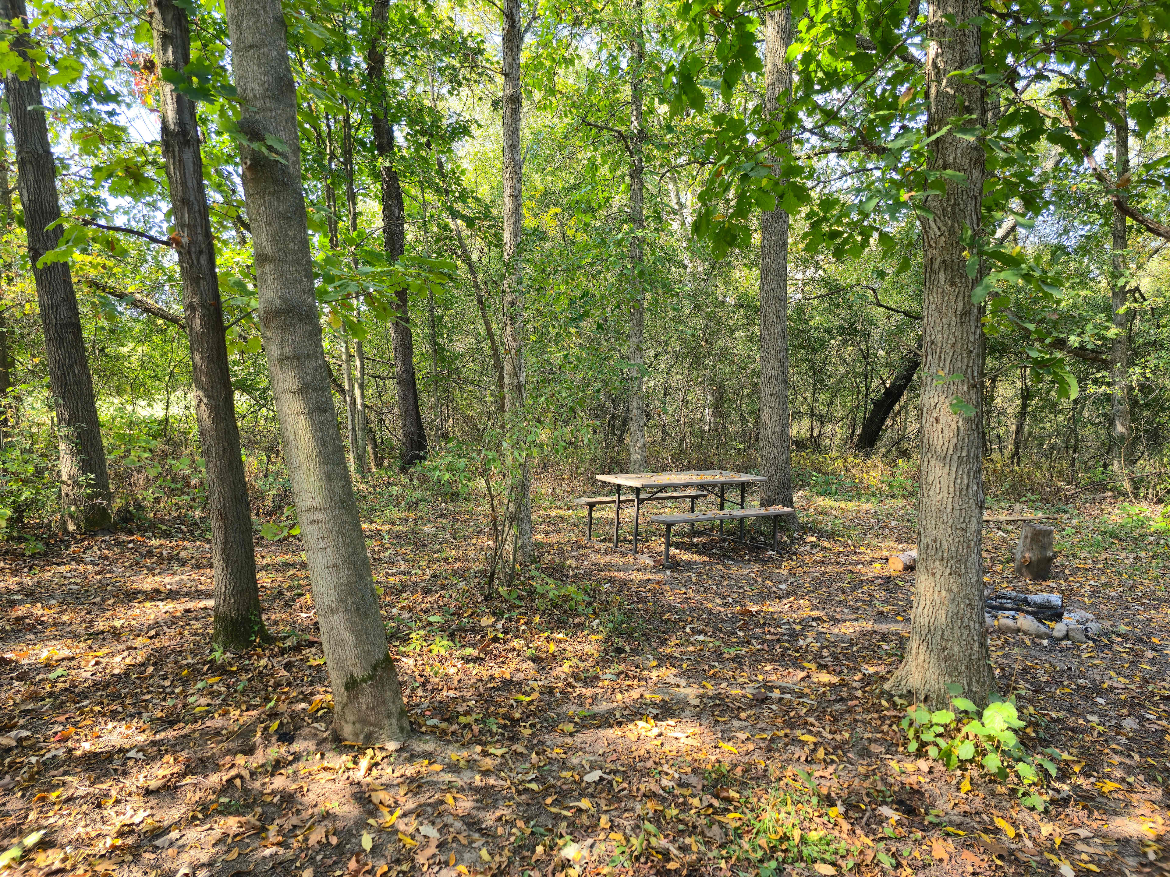 White Pine Farm HipCamping