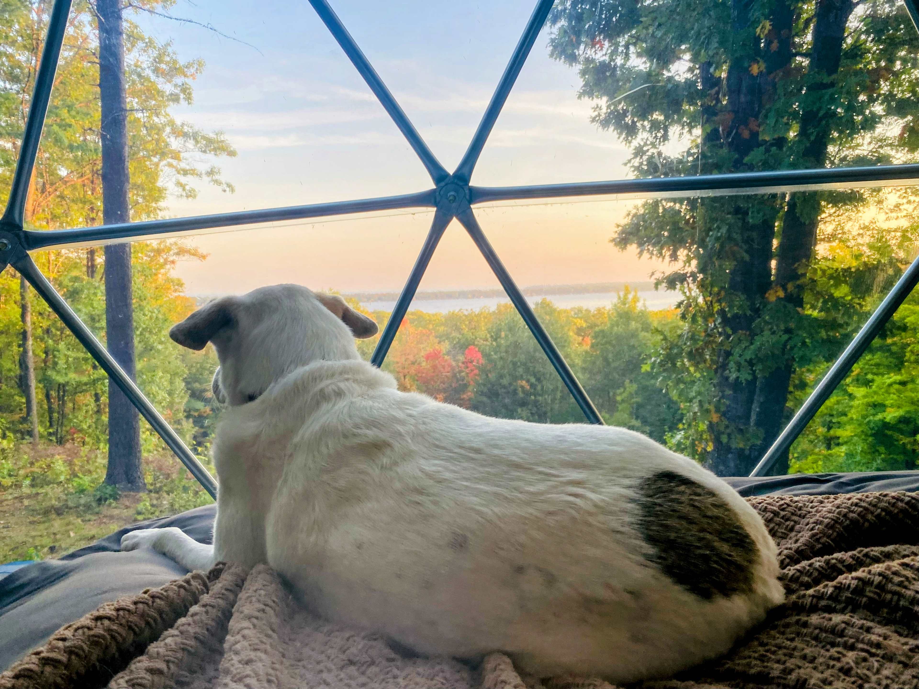 Kita enjoying the view. 