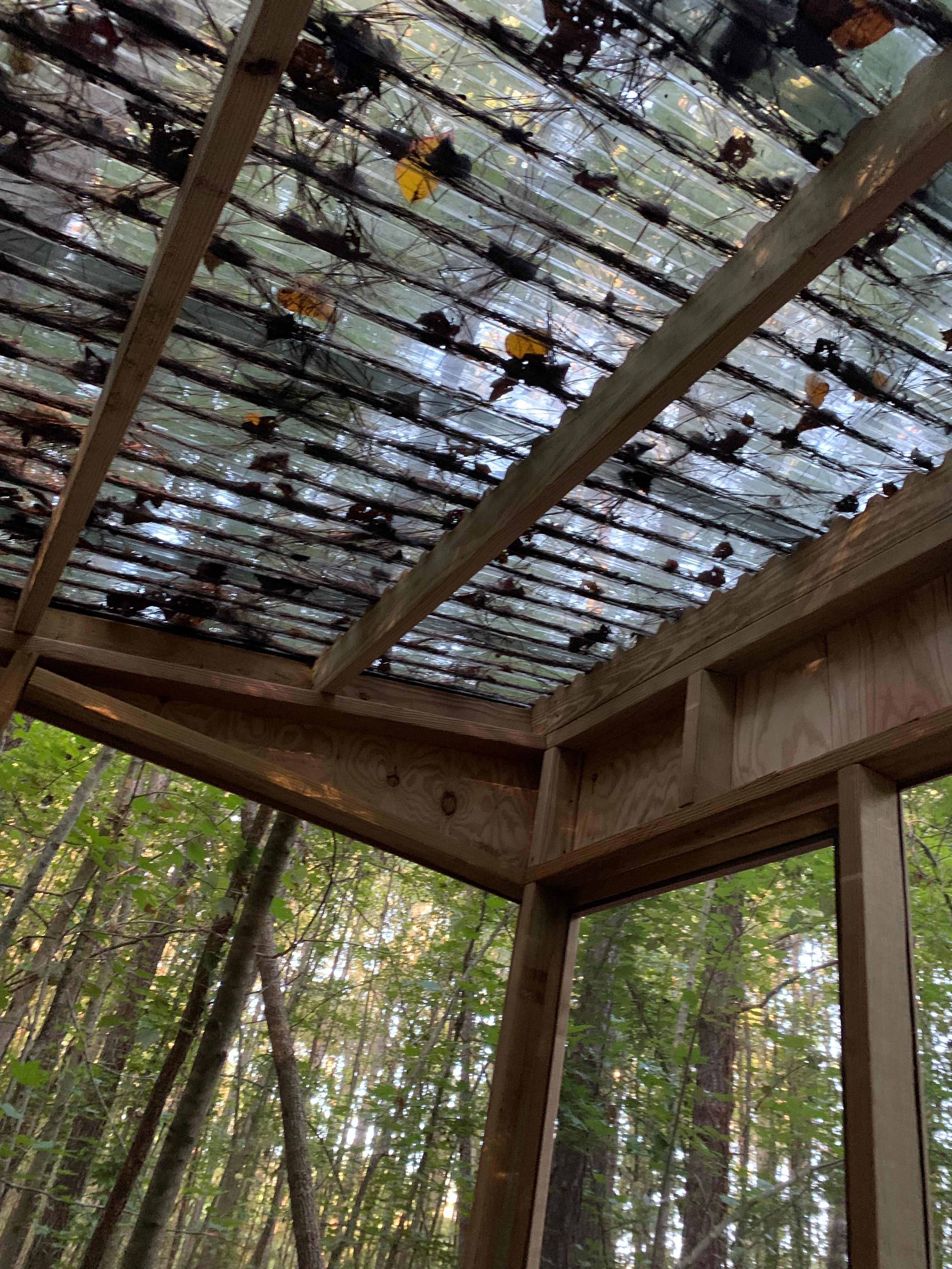 The Guinea Farm, Field, and Forest