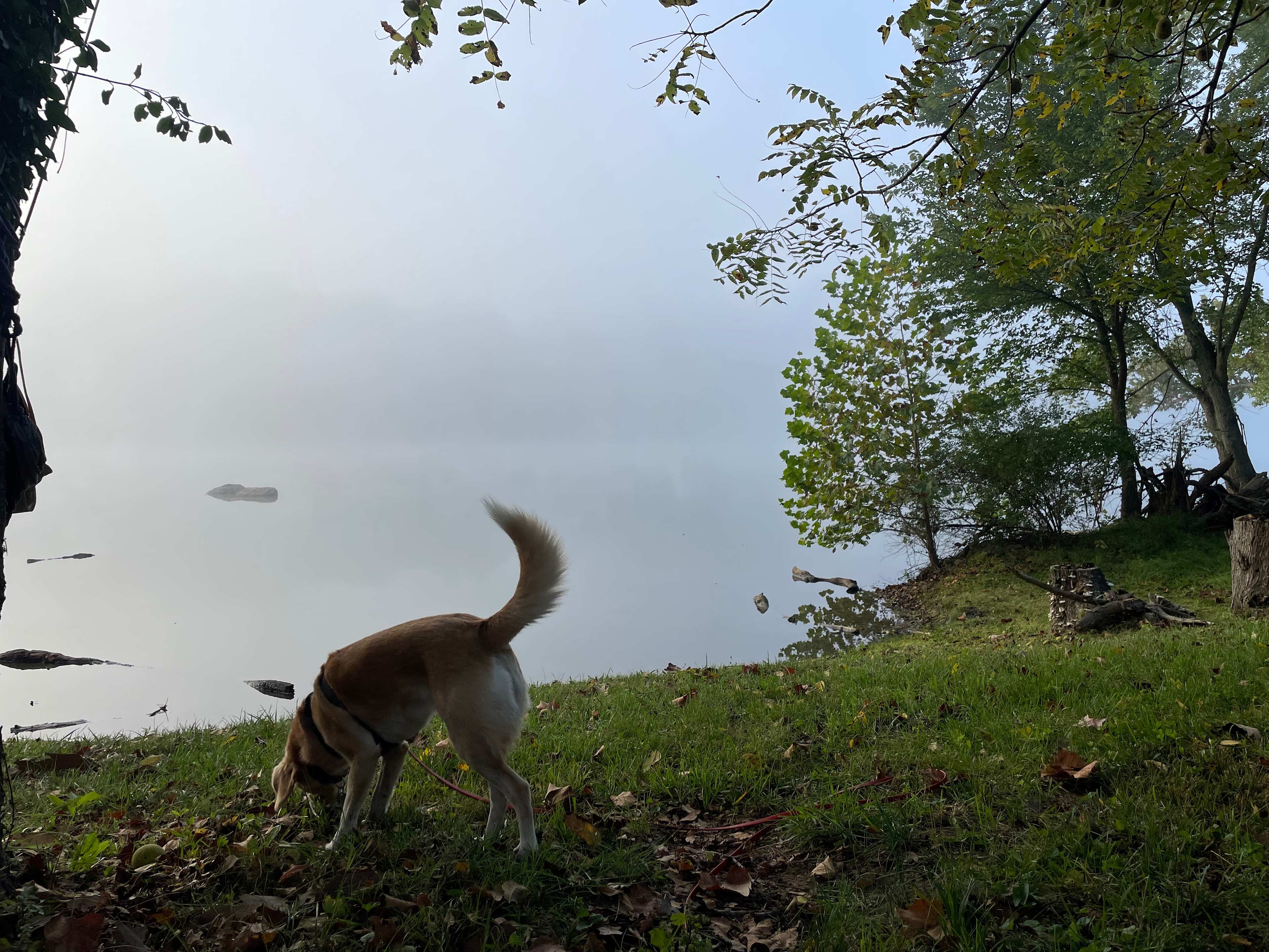 Private River - RV or tent