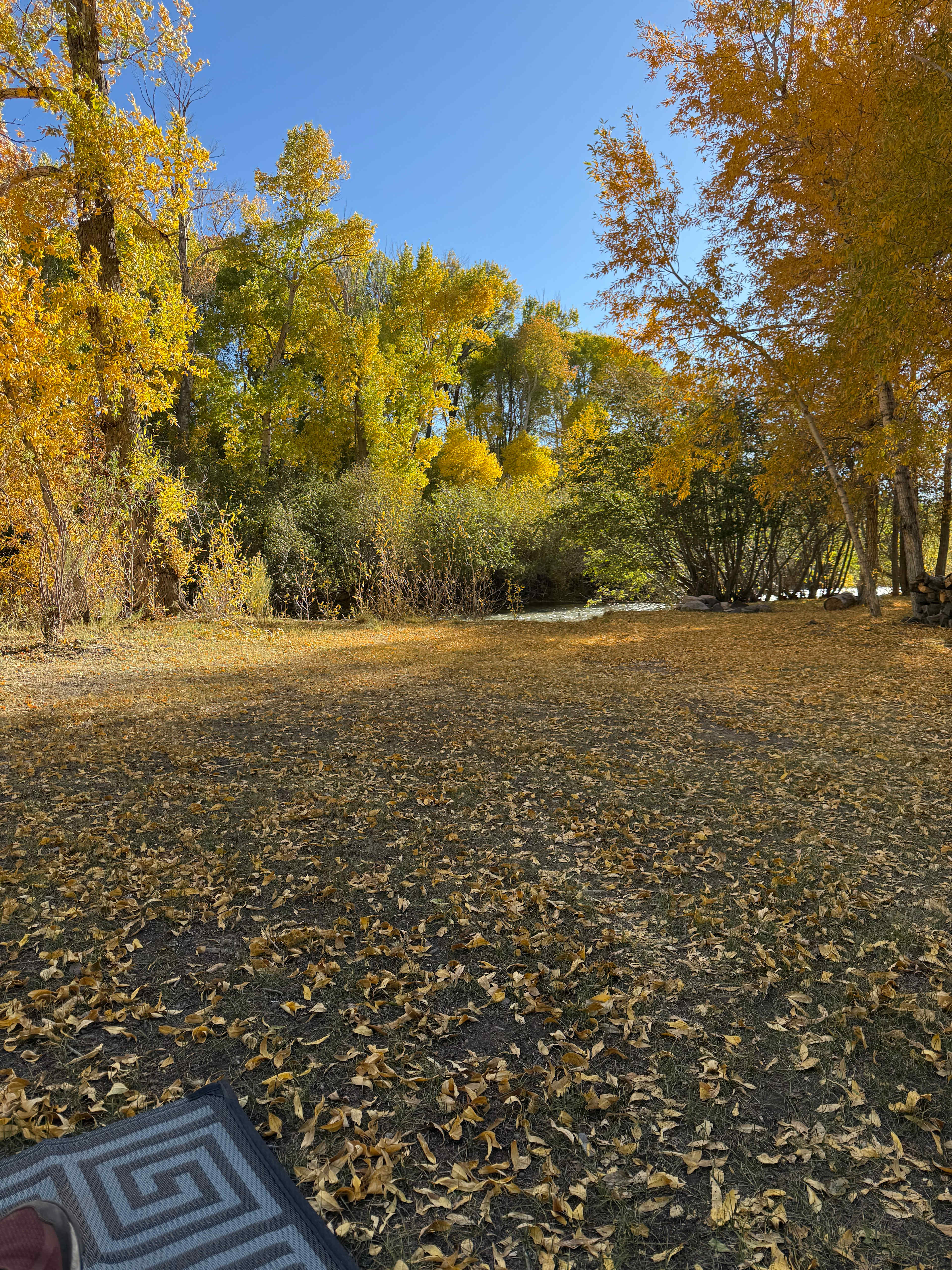 PR Ranch - Fly Fishing