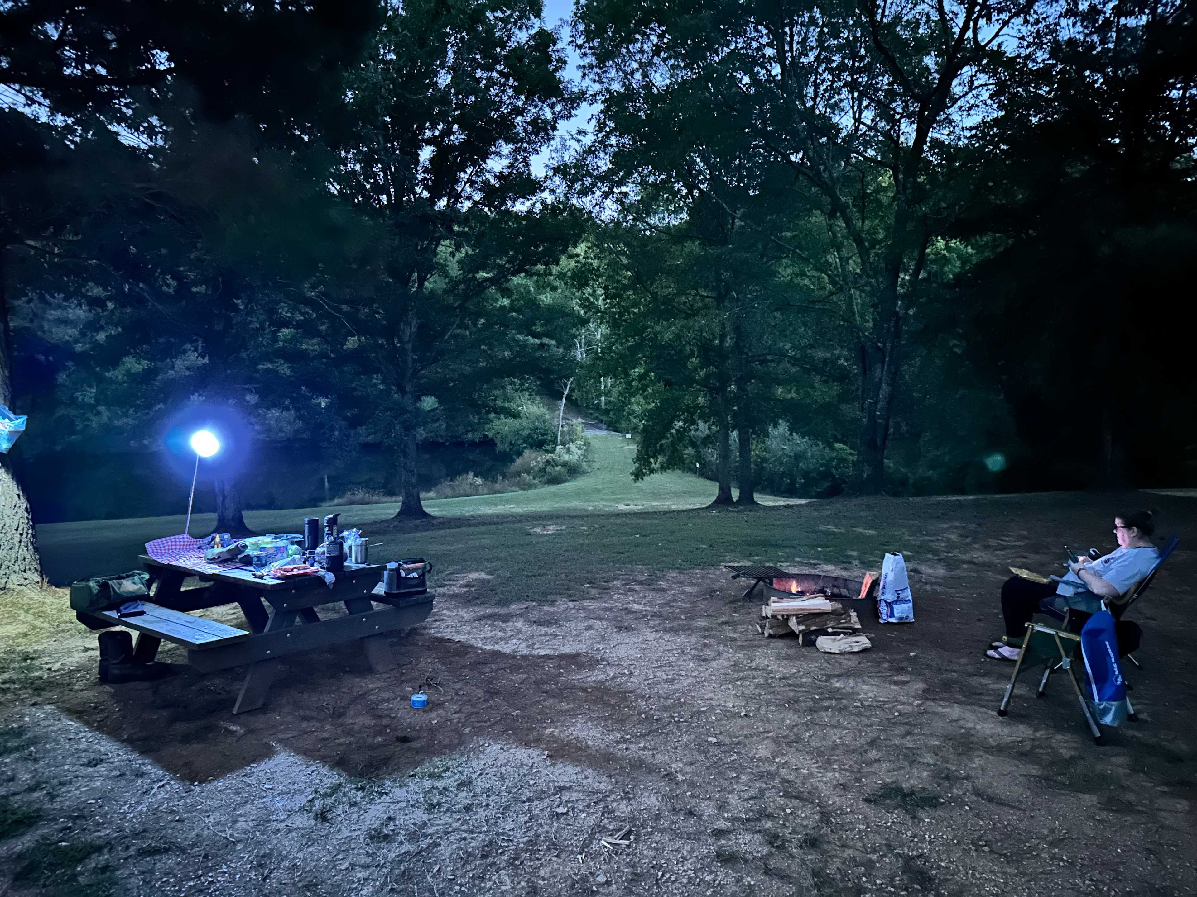 Under a moon lit night