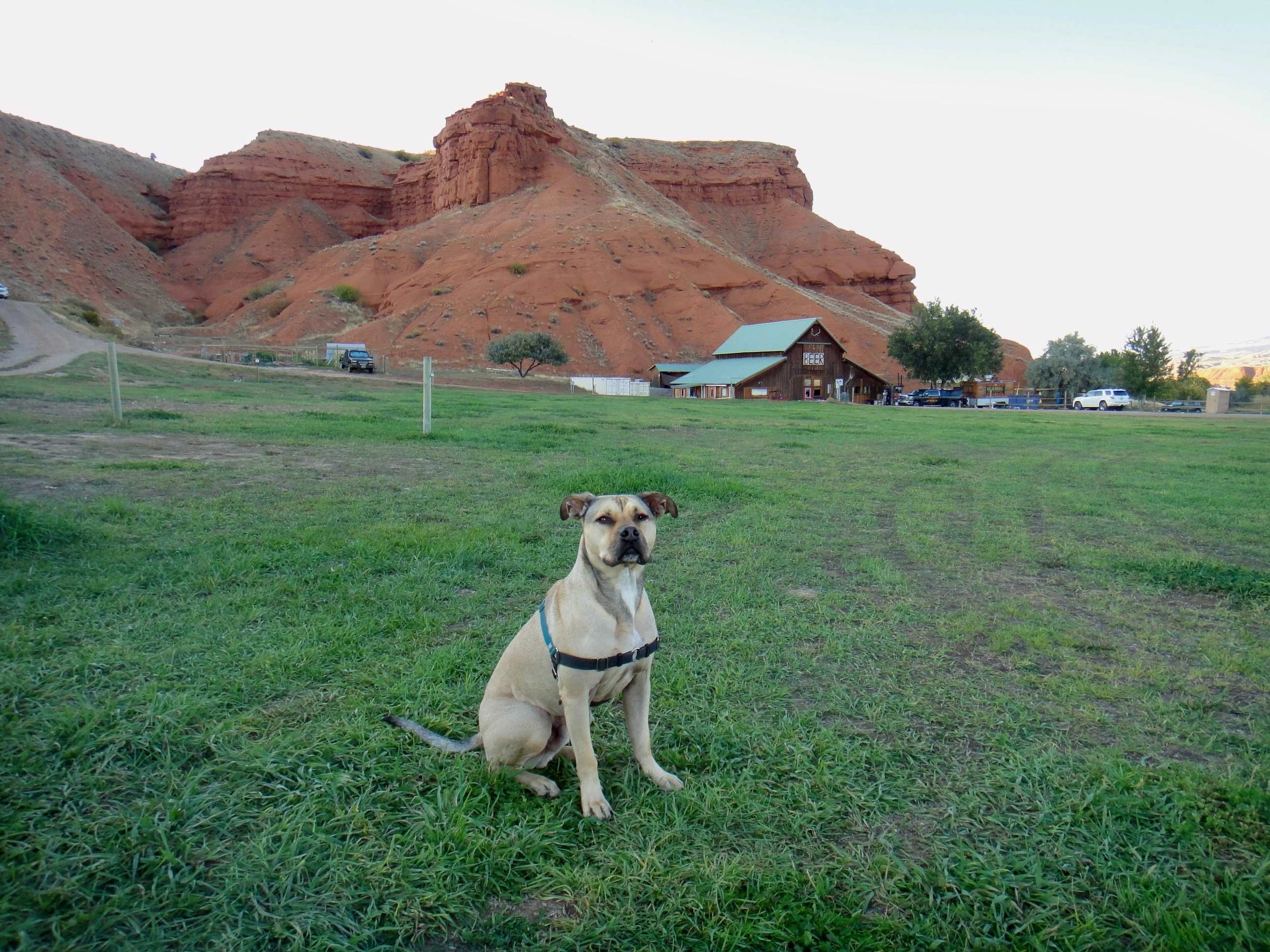Ten Sleep Brewing Co.