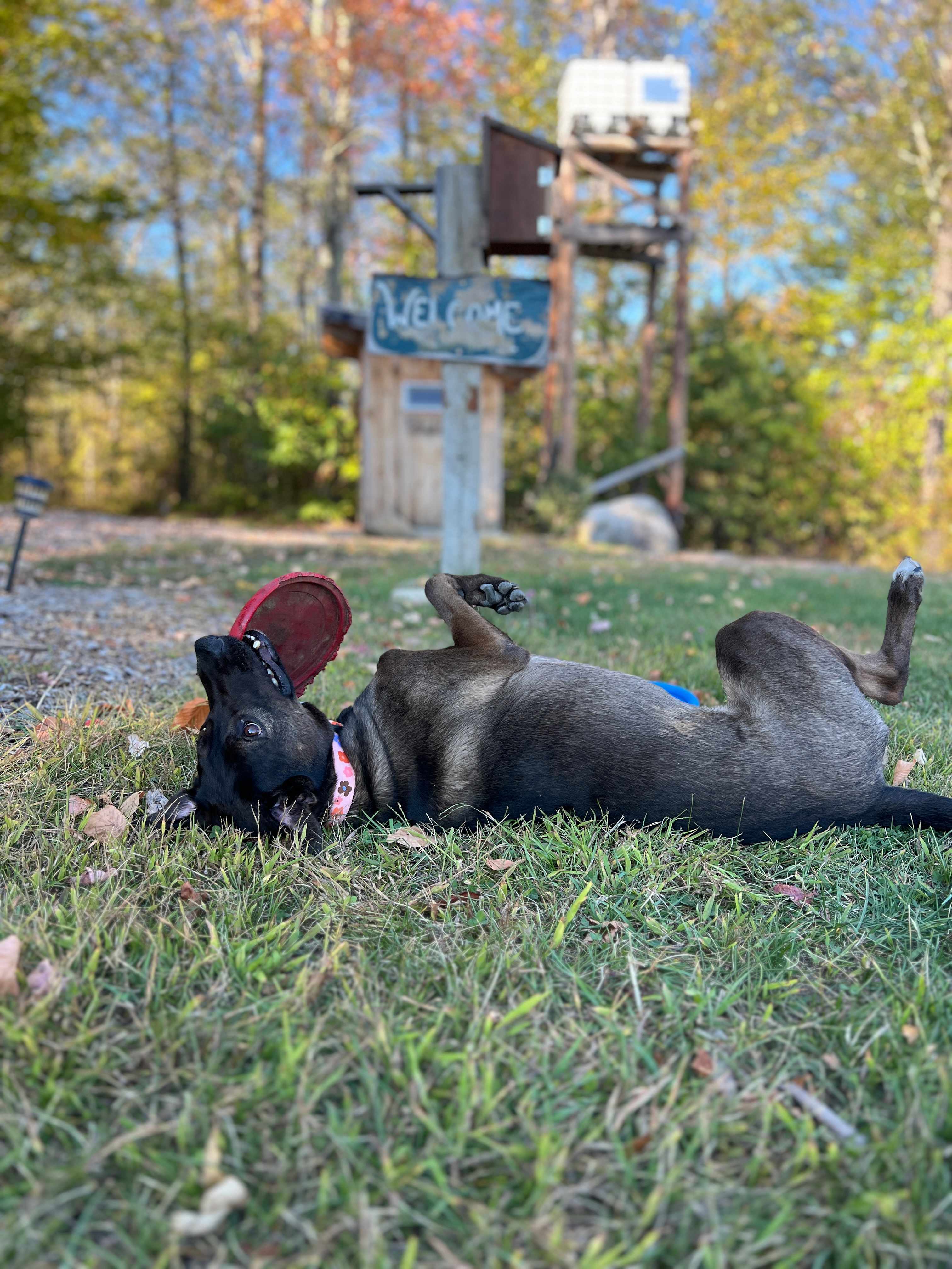 The Owls Nest @ Pustizzi Fruit Farm