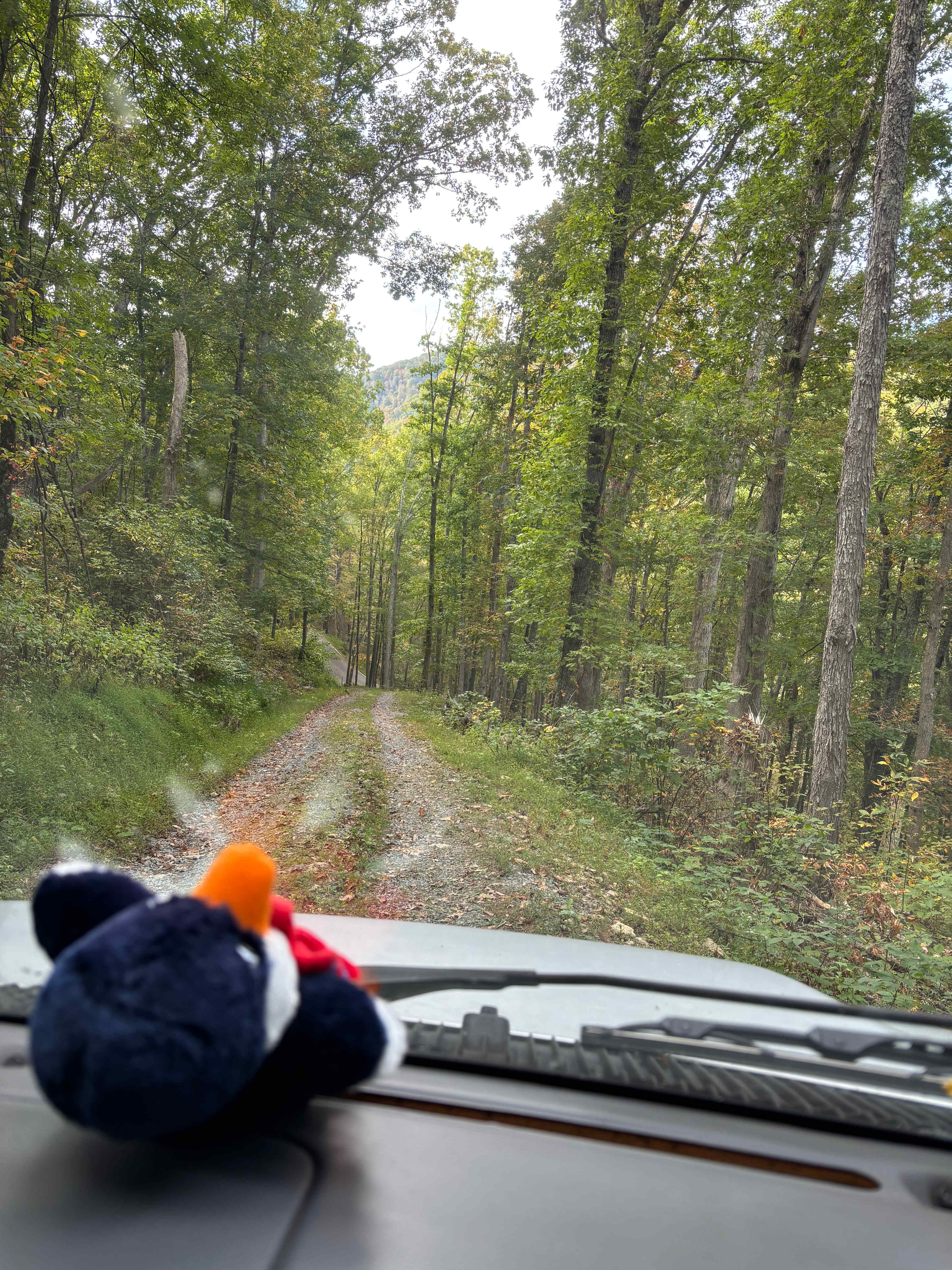 The track to the camp