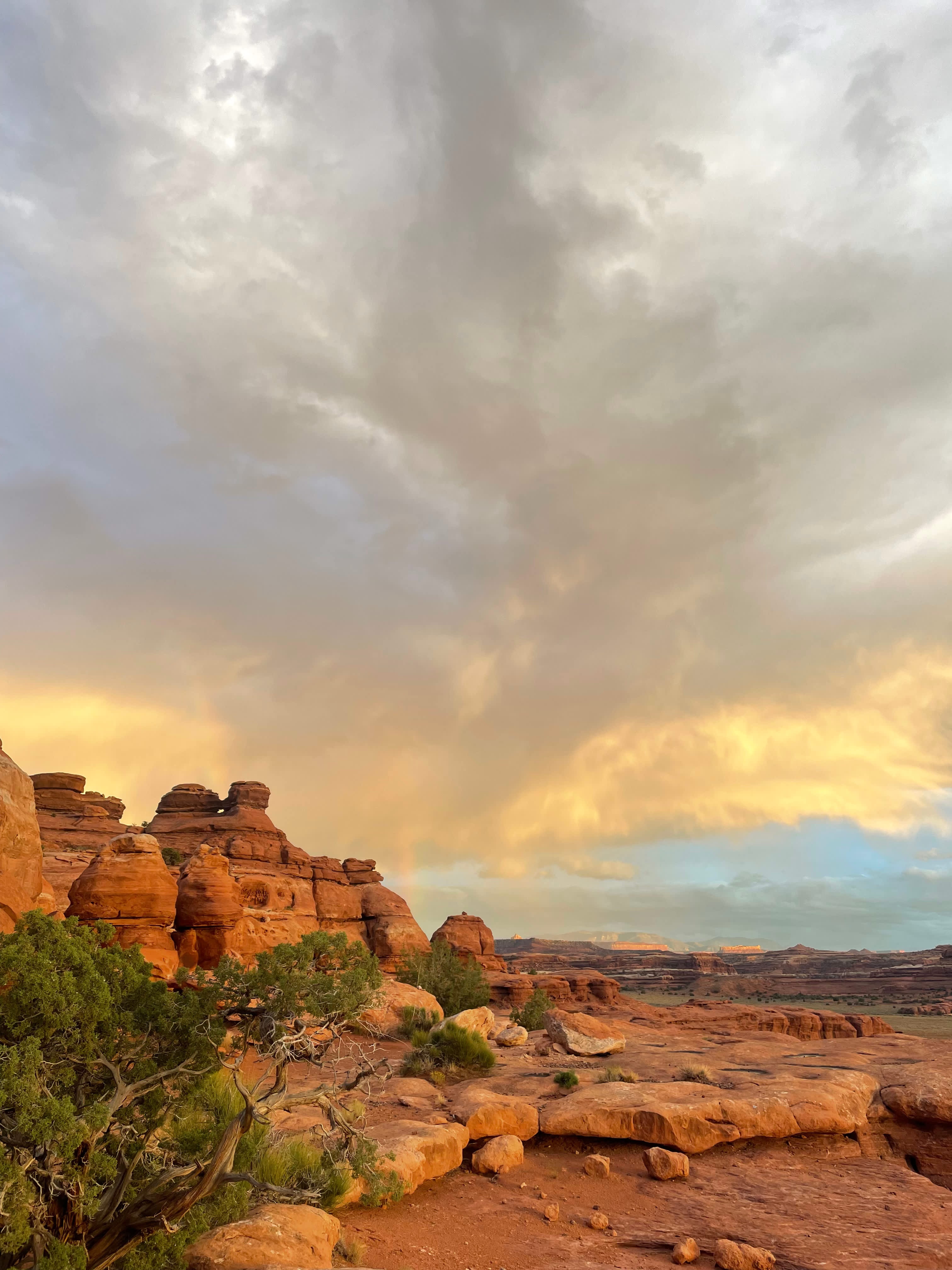 The Needles Outpost Campground