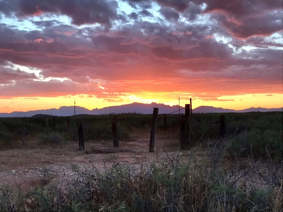 KB Horse Rv/Van/Tent Camp