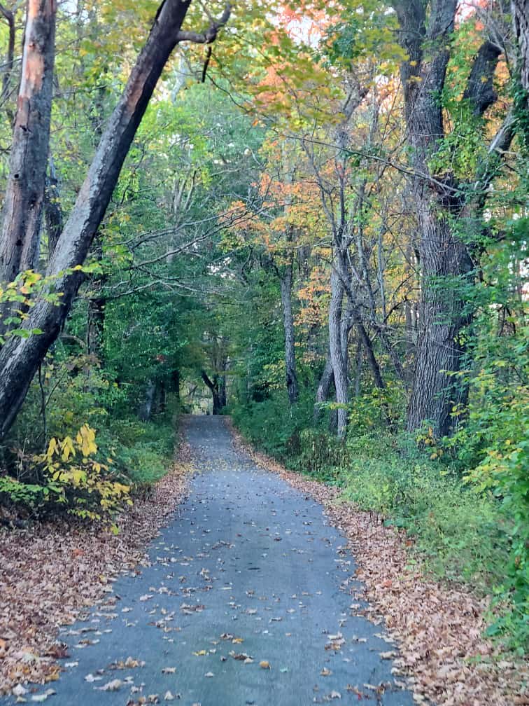 Goodfield Farm Rustic Camping