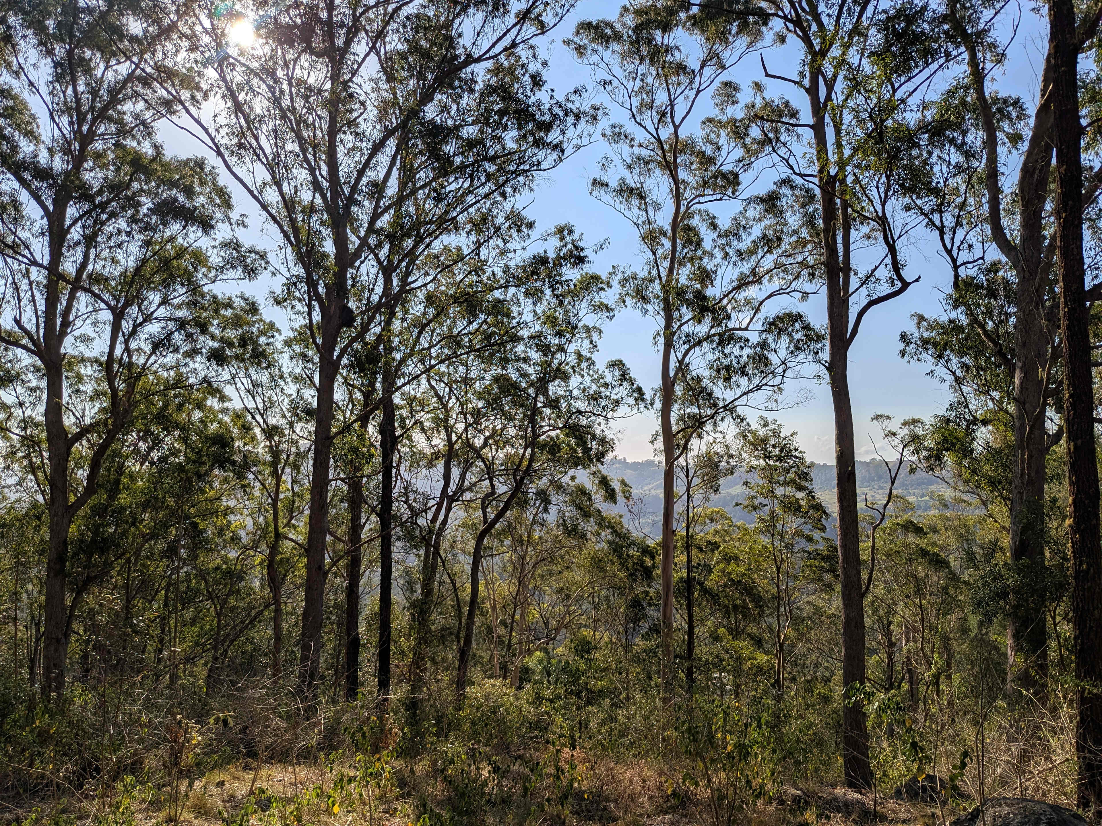 Wonderland 4WD Bushcamp