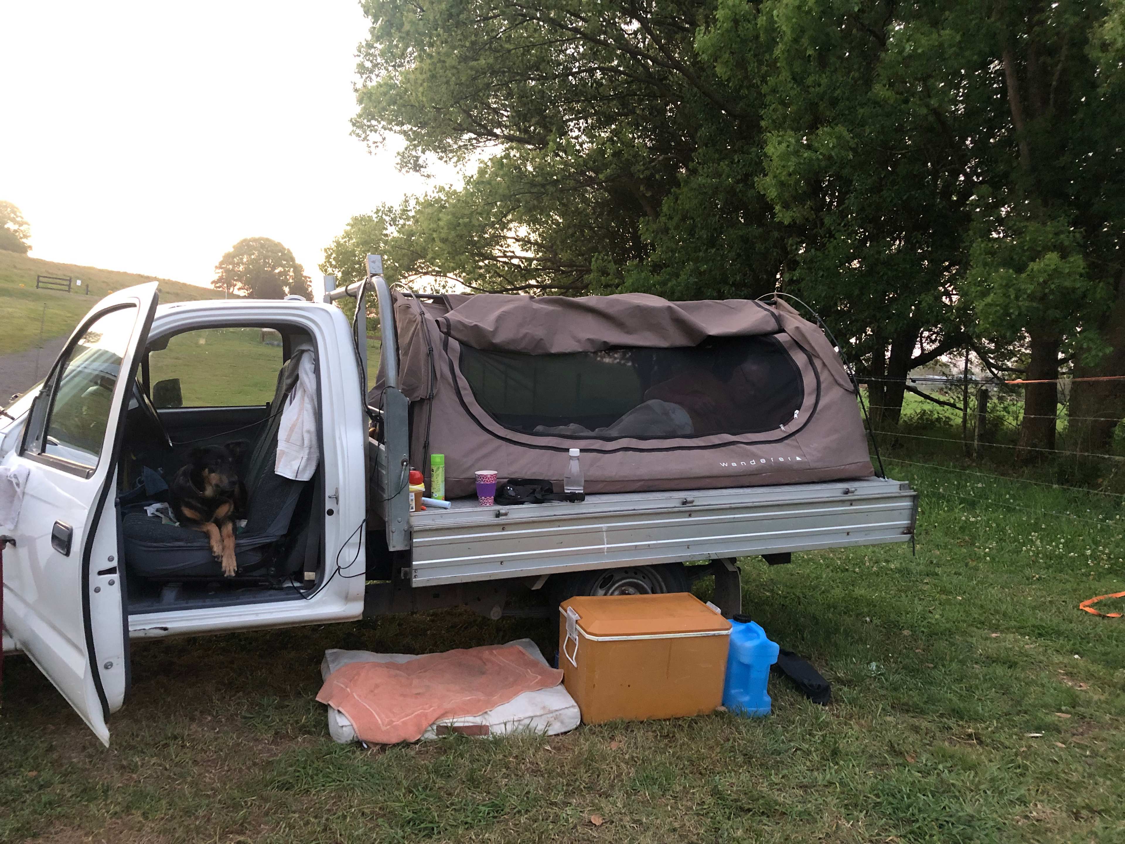 Happy campers with pooch