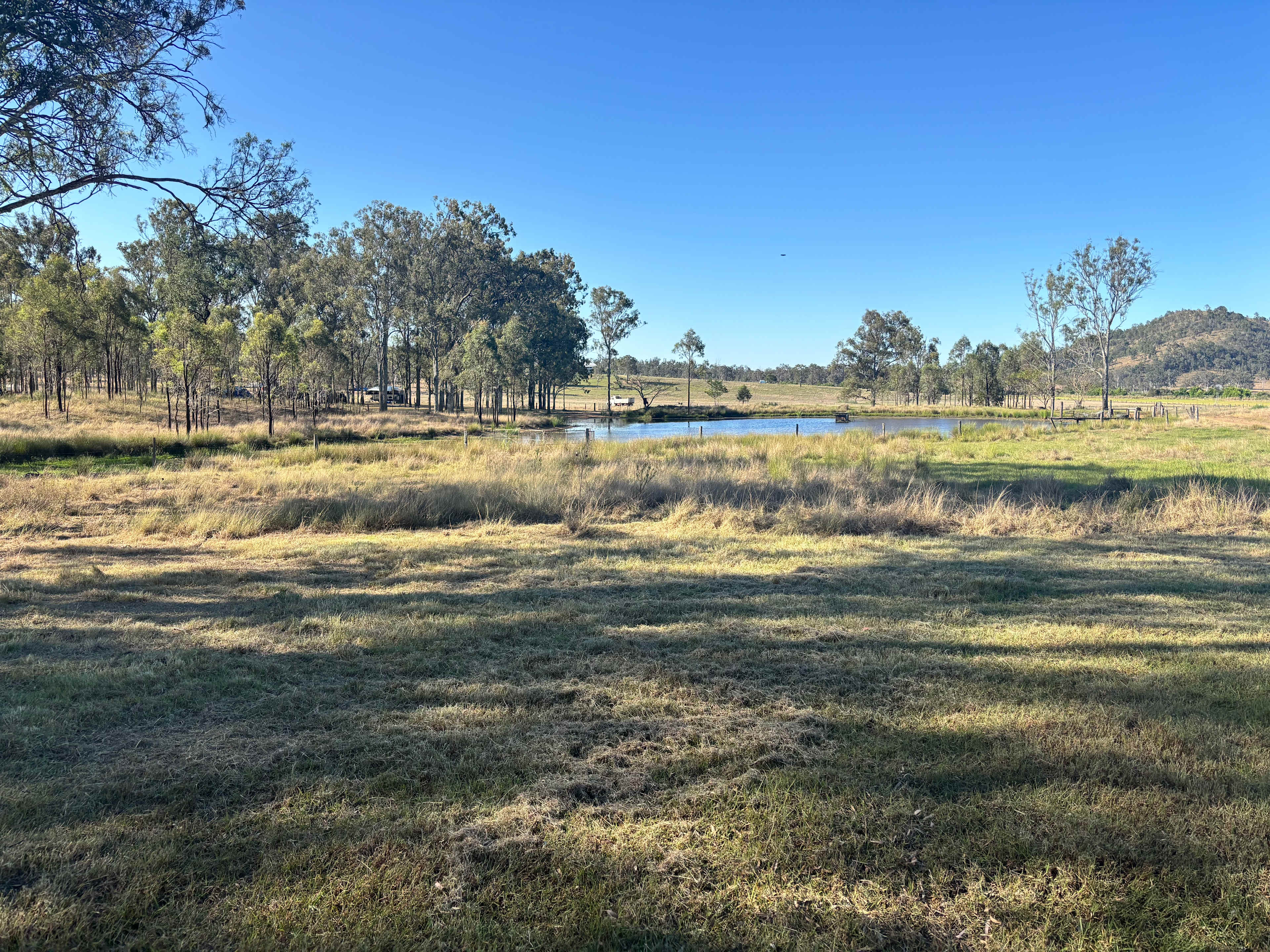 Funny Farm Frazerview