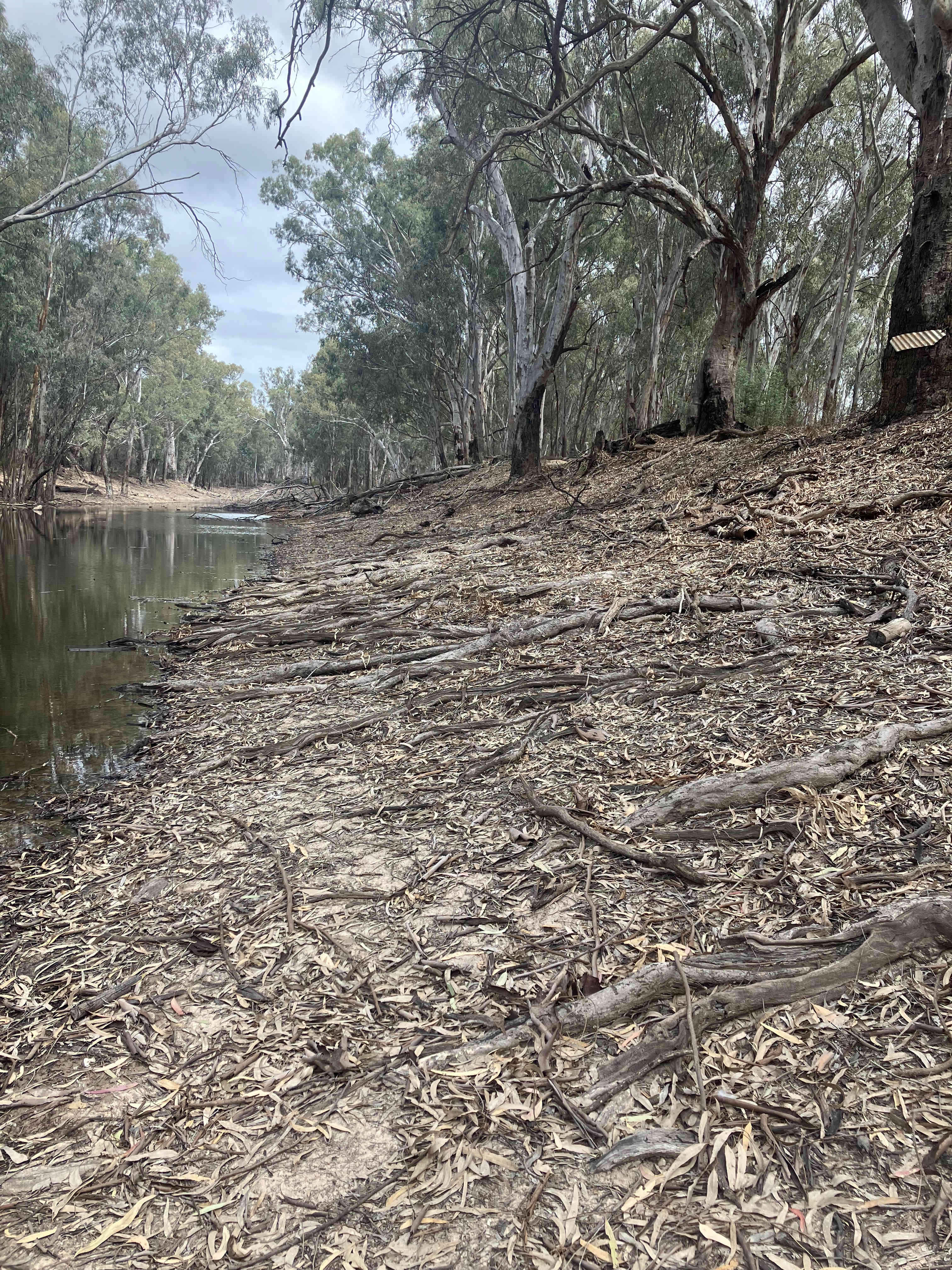 Tooranie Stay Echuca Moama