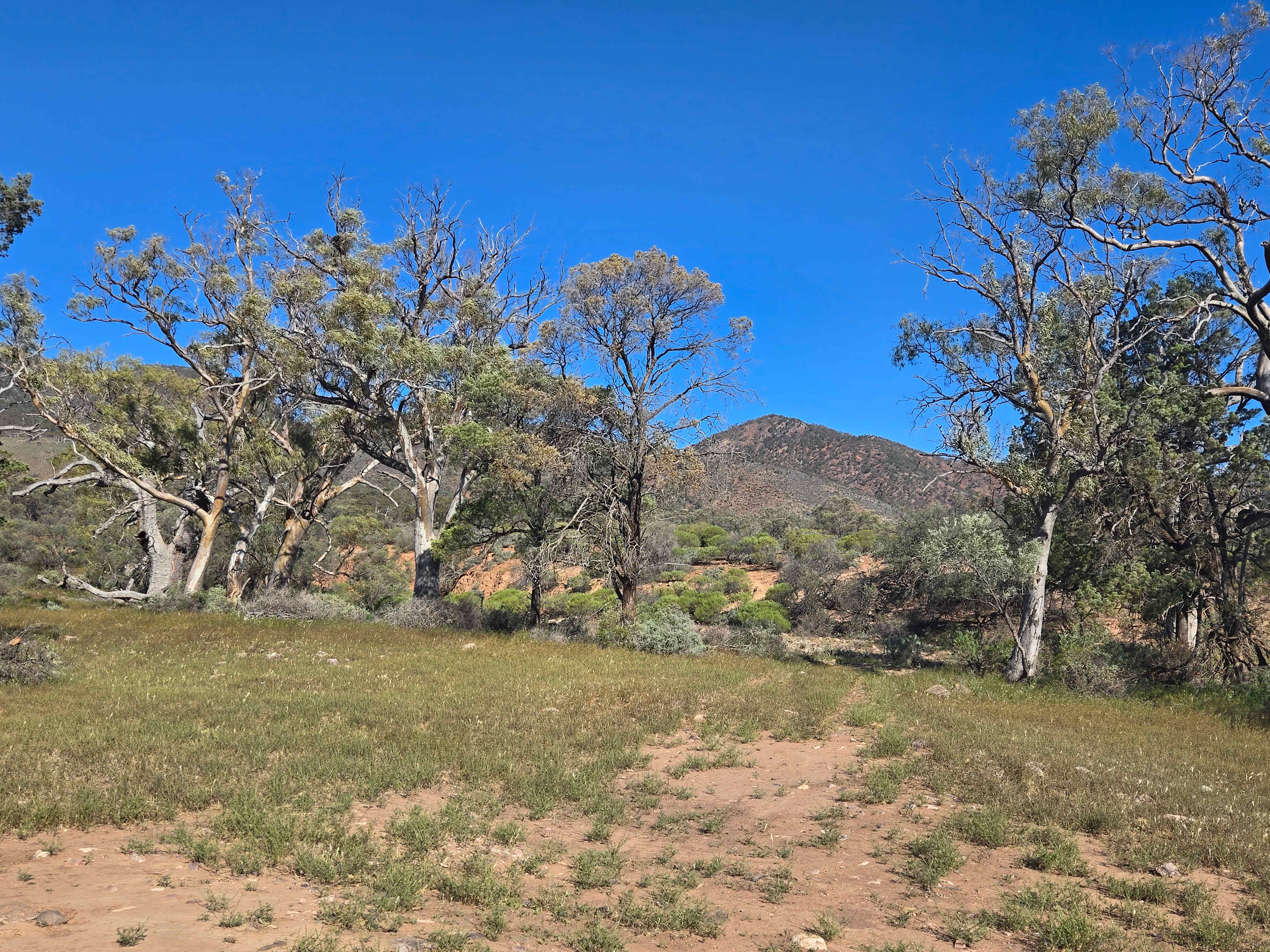 Catninga Camps & Accommodation