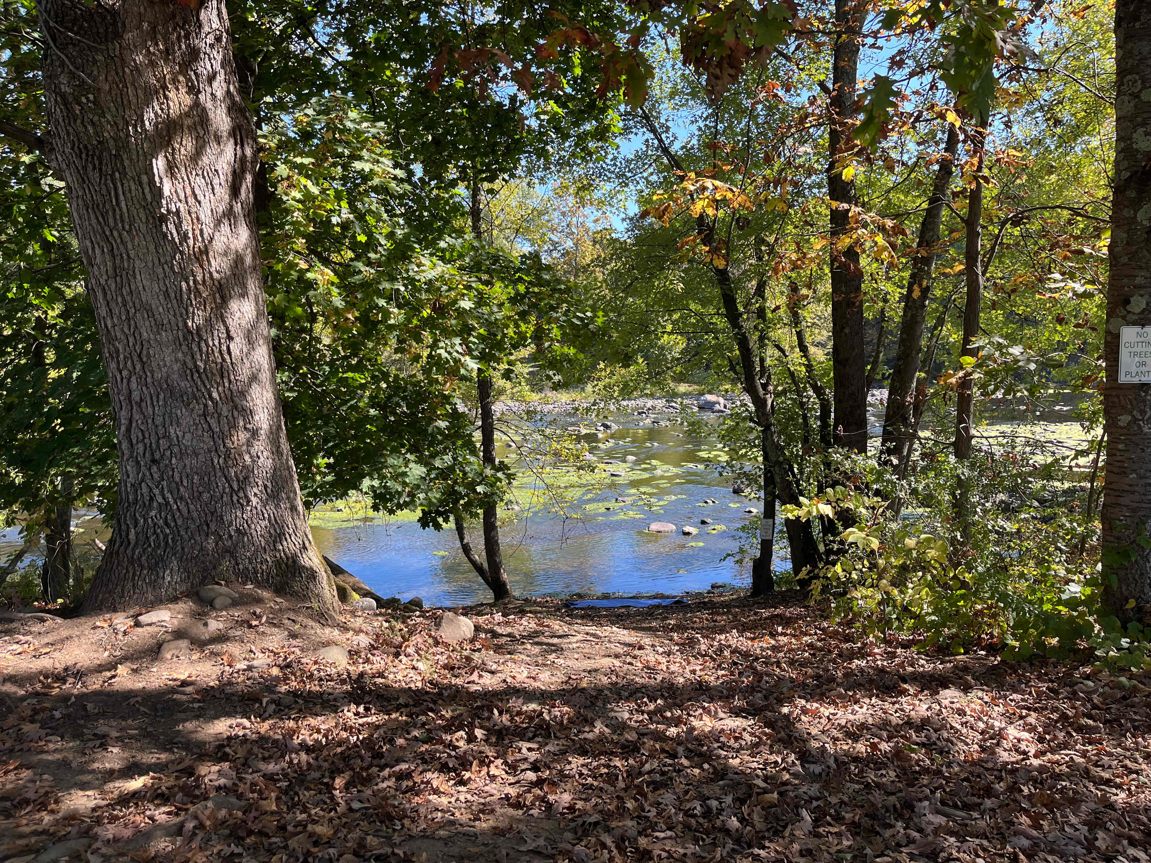 View from the picnic table and our bus