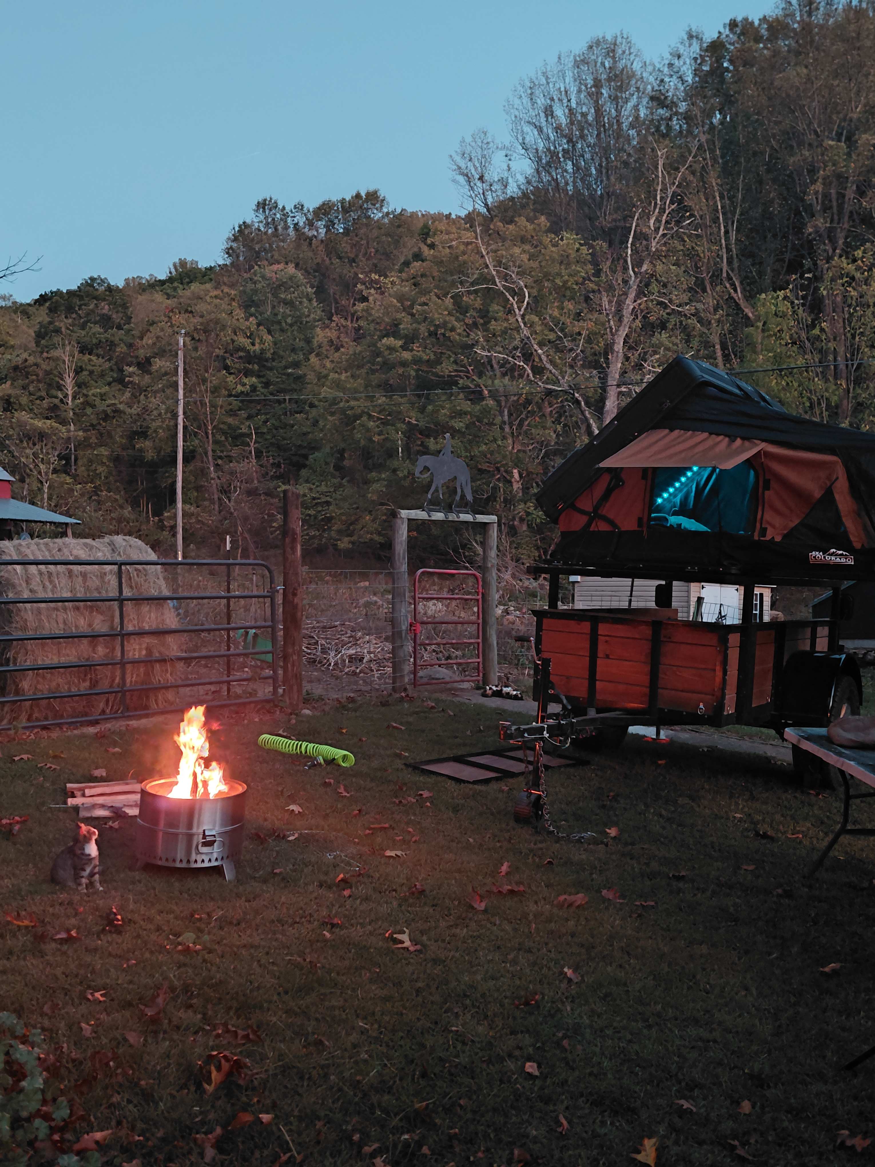 Welcome to Marigold Manse!