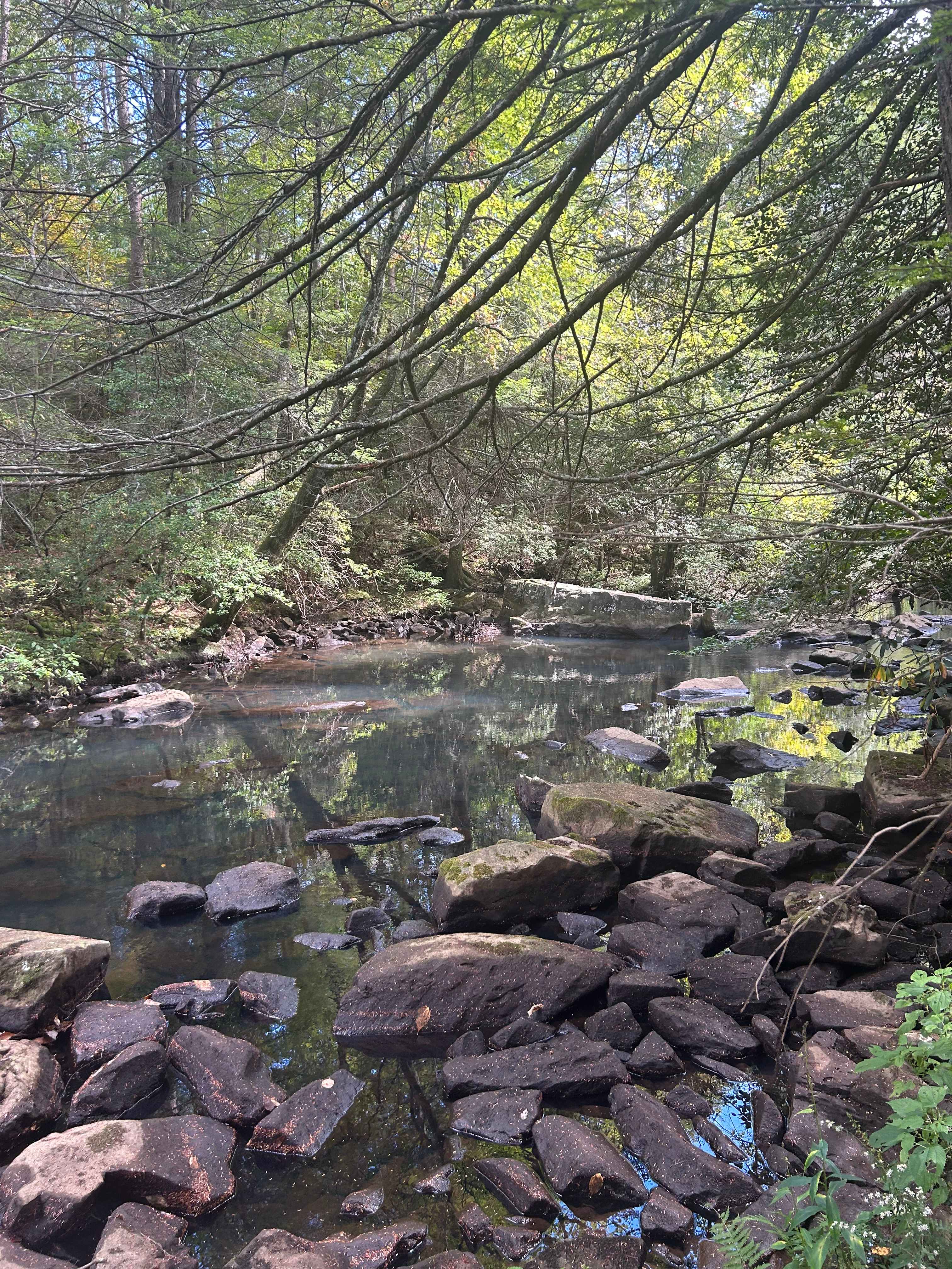 Hammock’Sway Private Off Grid Camp