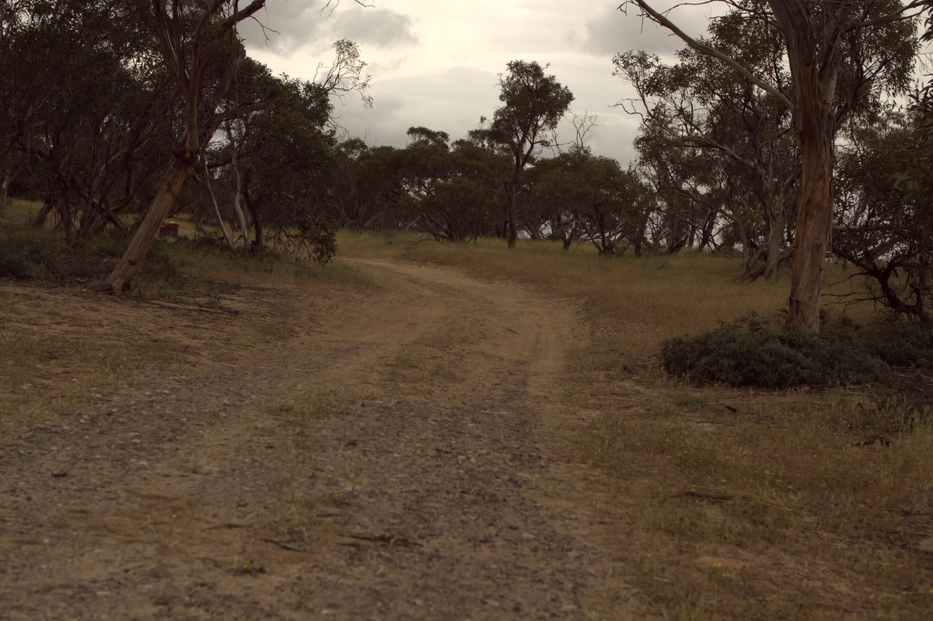 Currawong Corner - Vans, RV & tents