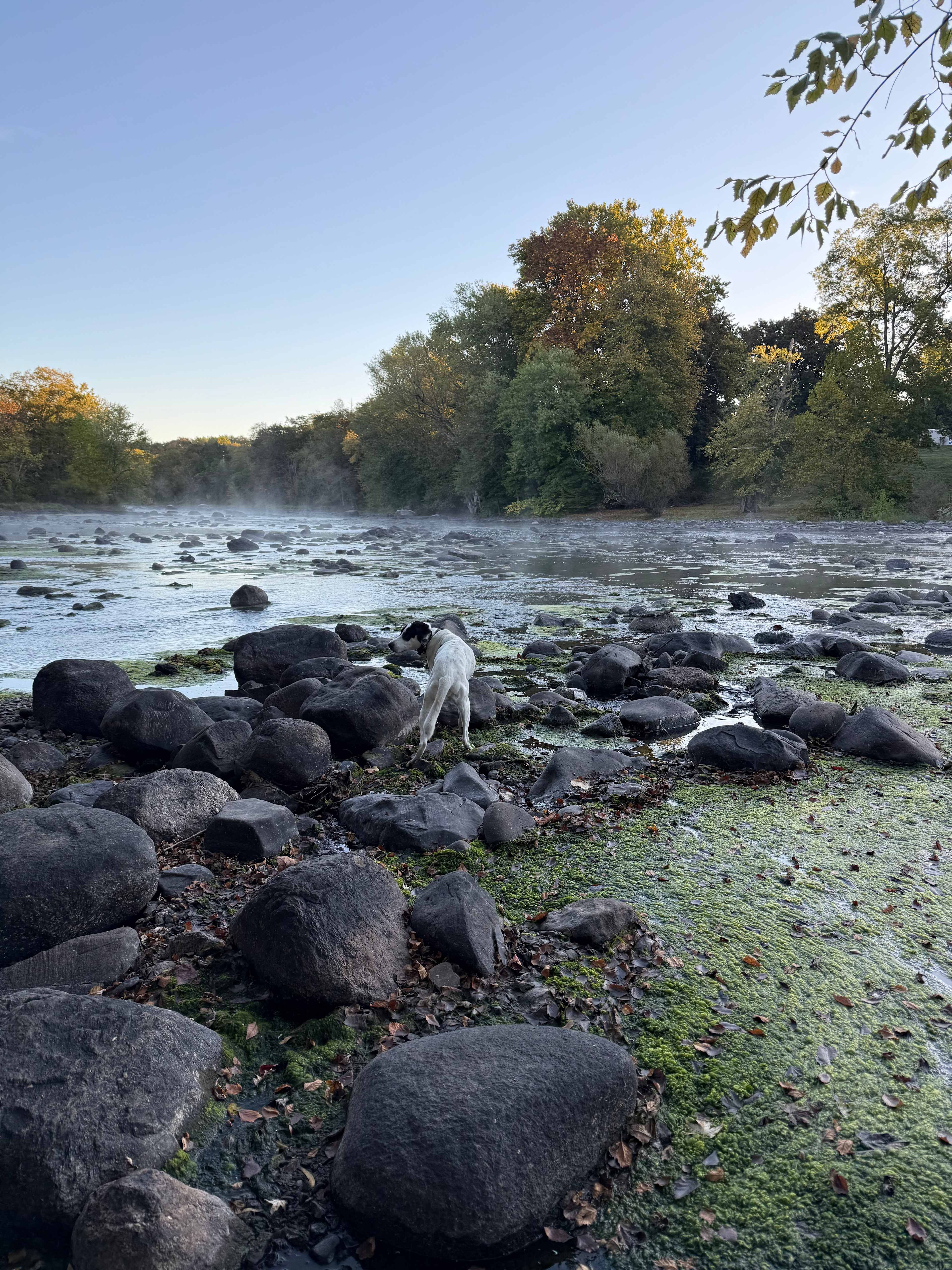 Historic Riverside Farm
