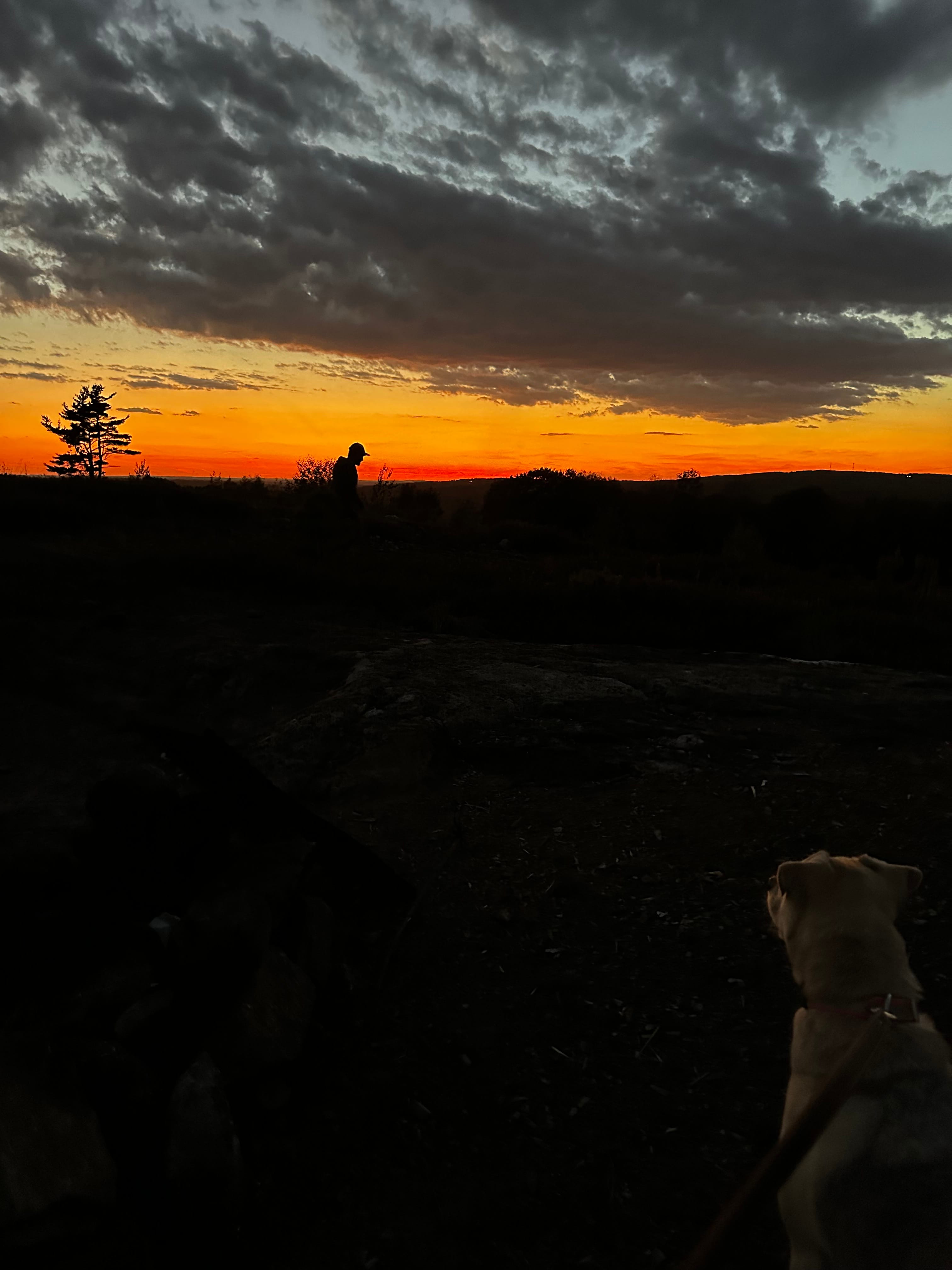 Magnificent View Blueberry Hilltop