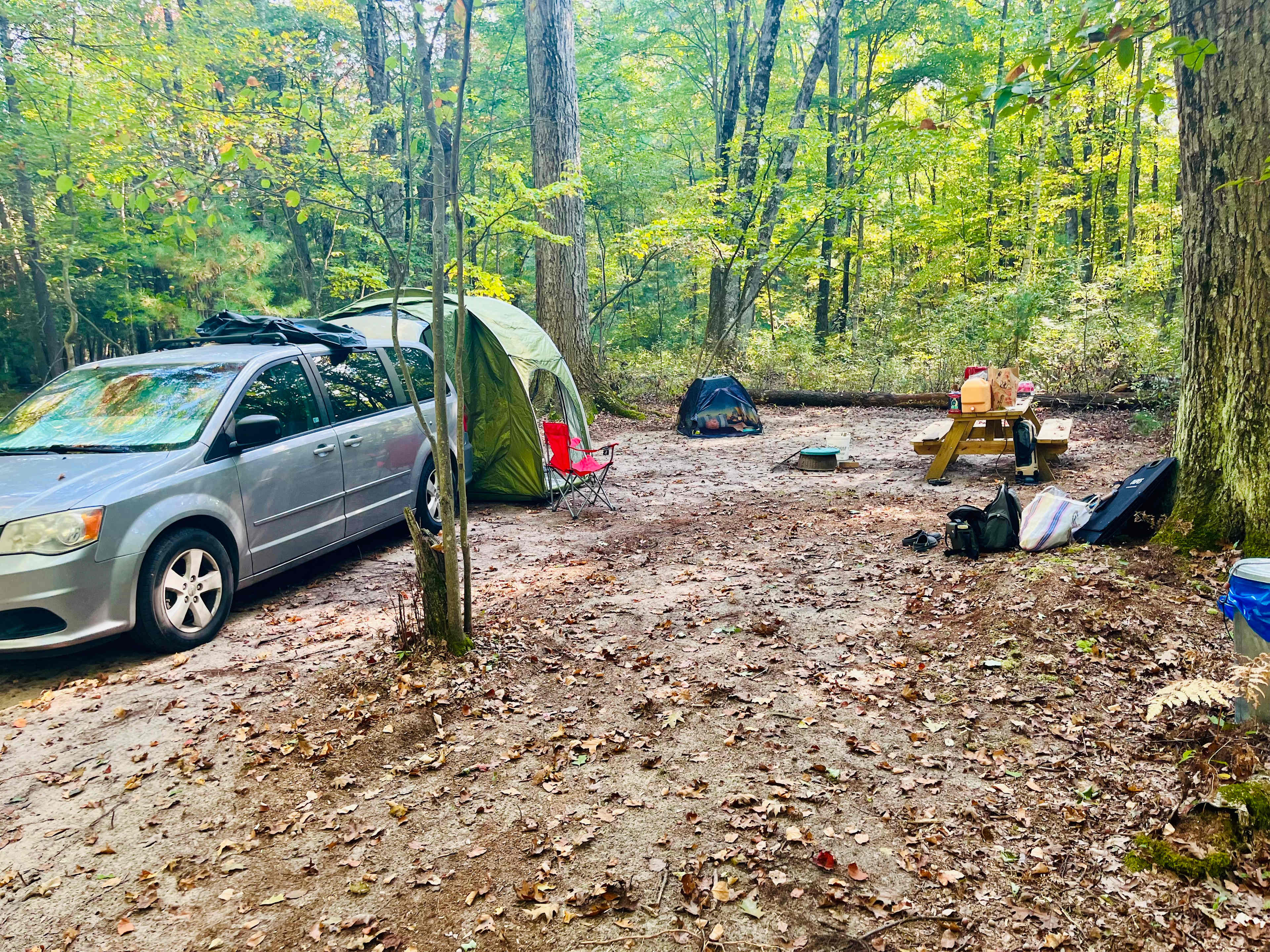 Valley of the Giants Camp