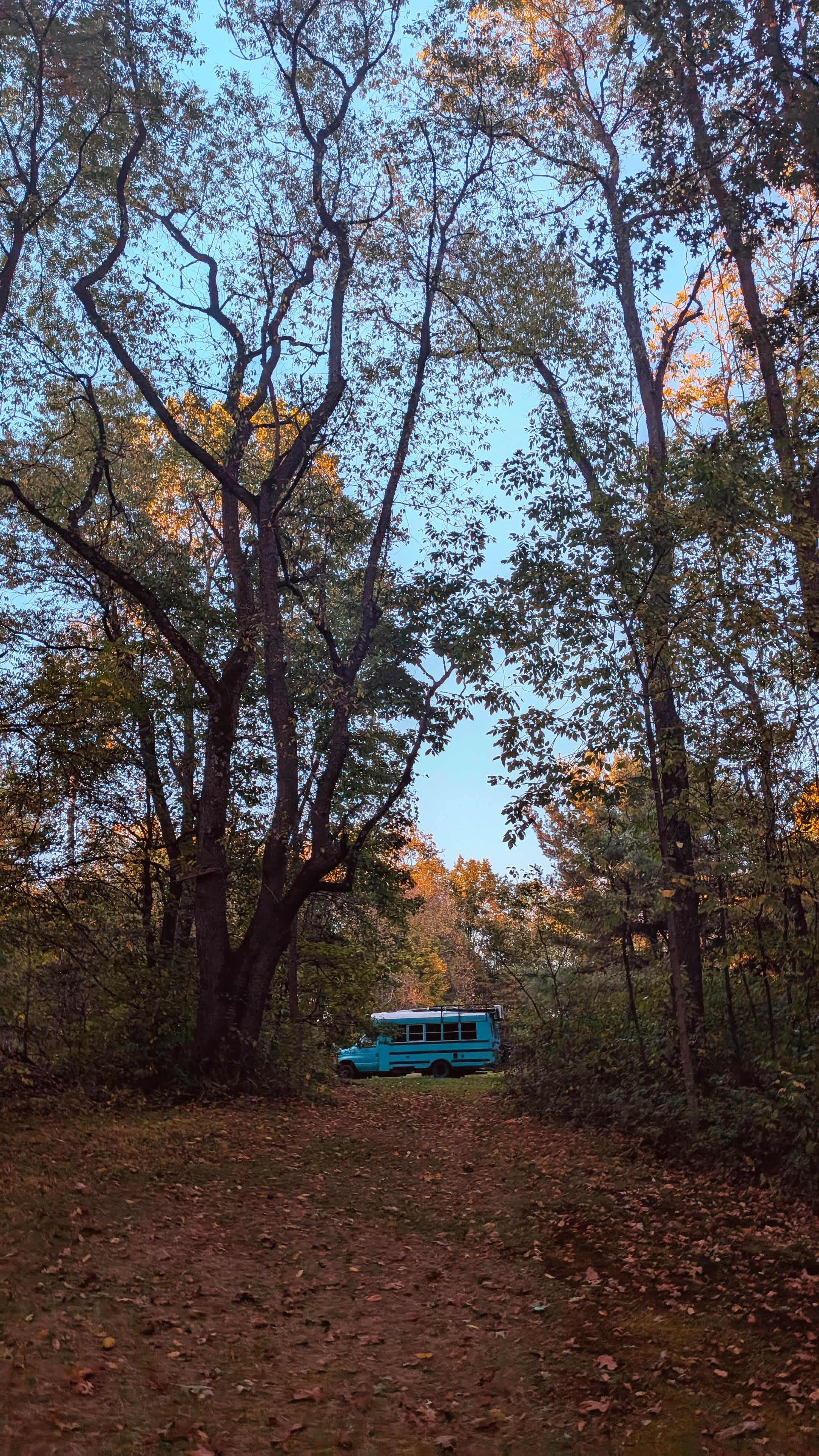 Bill S. and Nancy's property