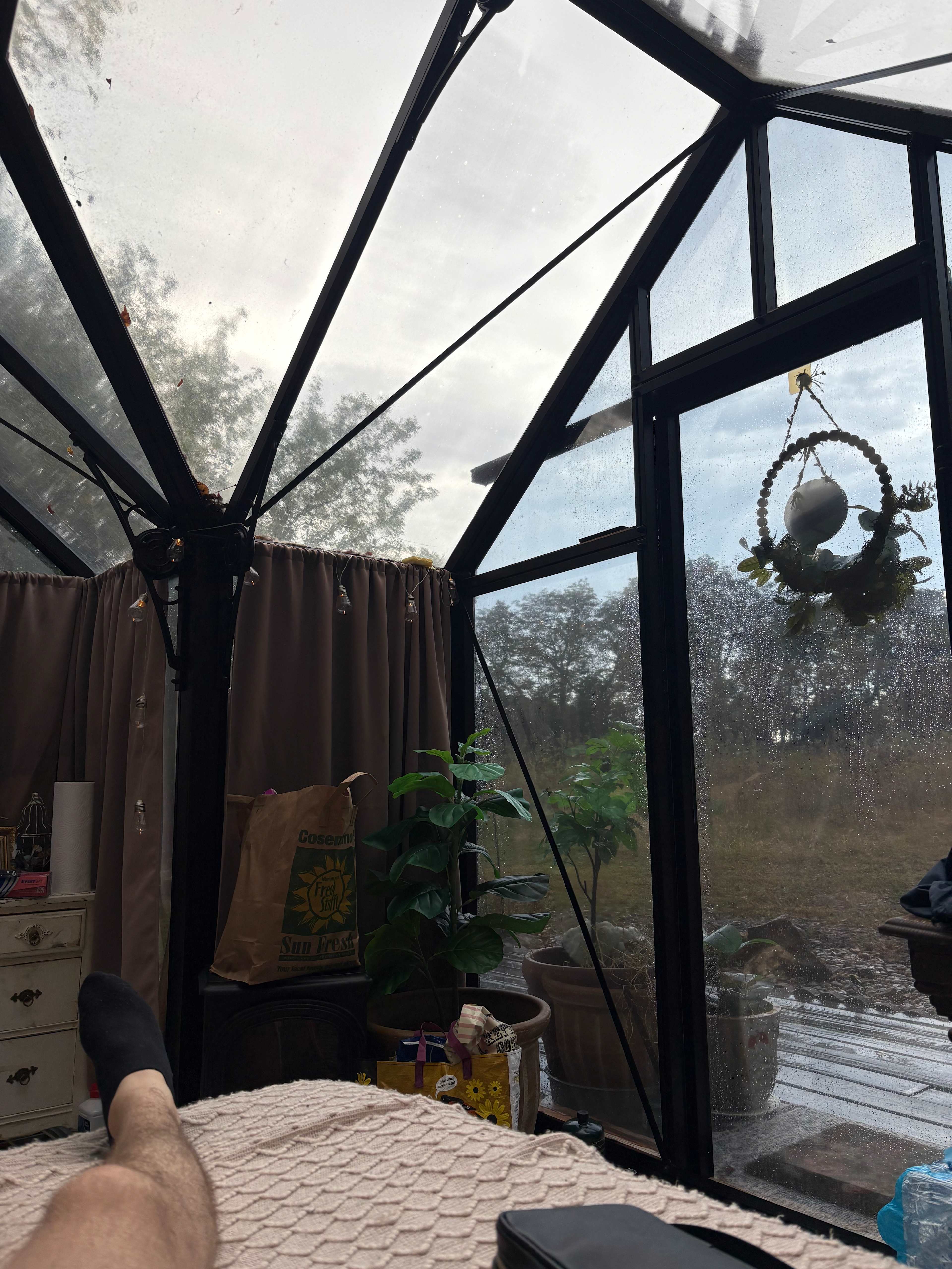 A view from inside the nest