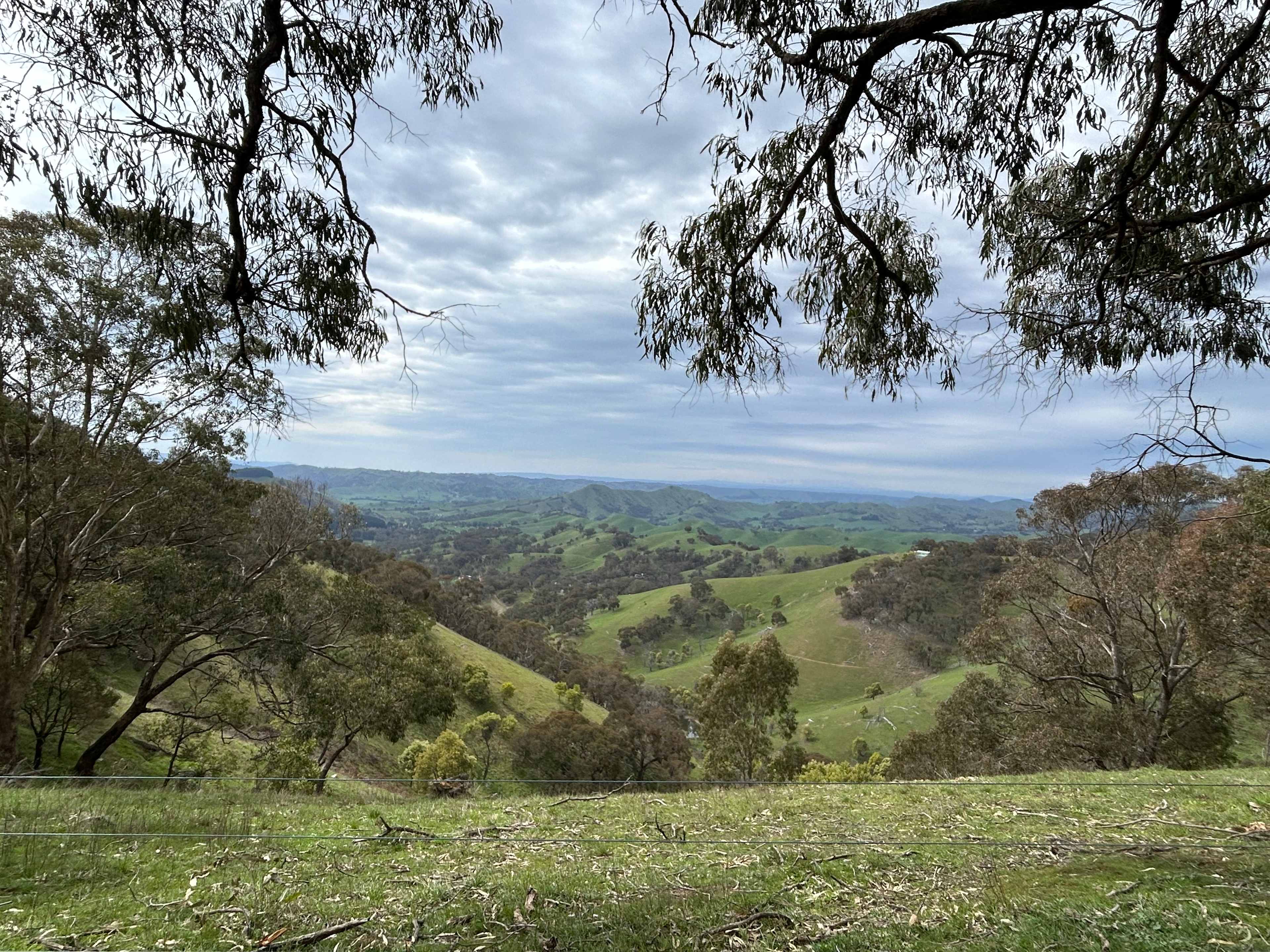 Incredible walk views 